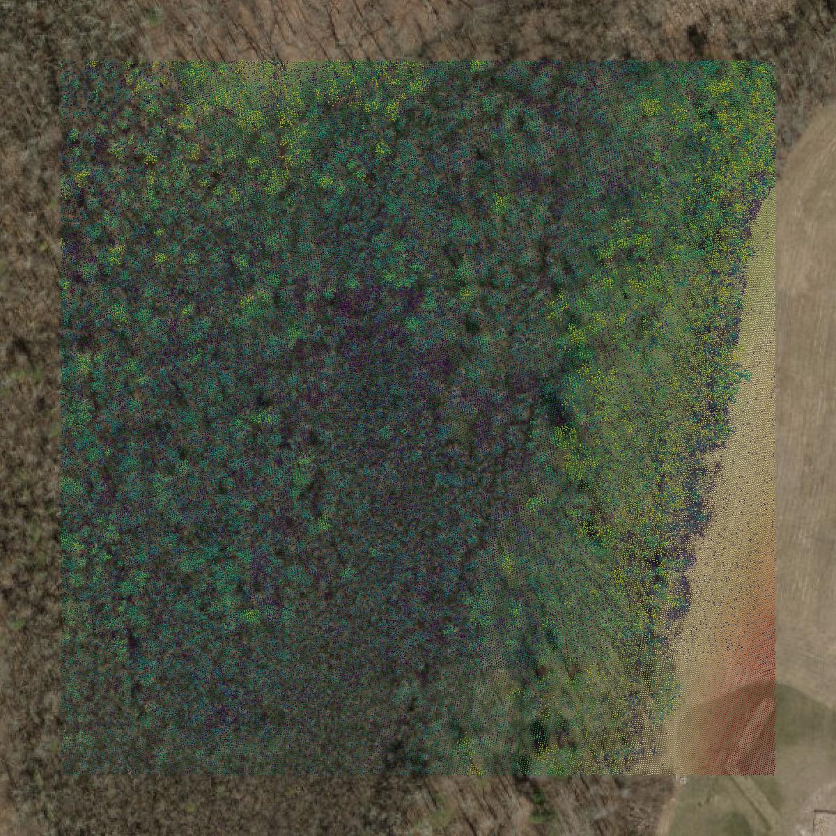 This image shows a LiDAR point cloud in Northwest Hills Planning Region created using GIS data in Equator.