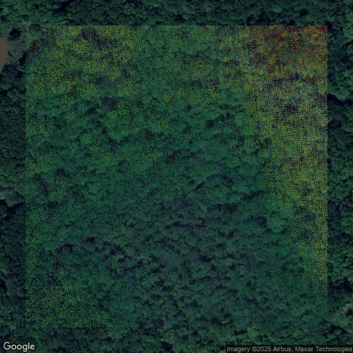 This image shows a LiDAR point cloud in South Central Connecticut Planning Region created using GIS data in Equator.