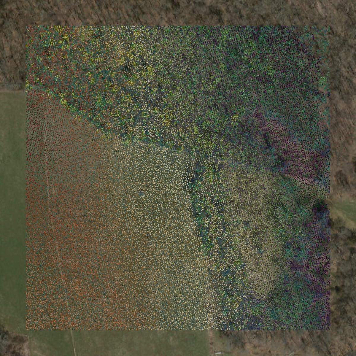 This image shows a LiDAR point cloud in Southeastern Connecticut Planning Region created using GIS data in Equator.
