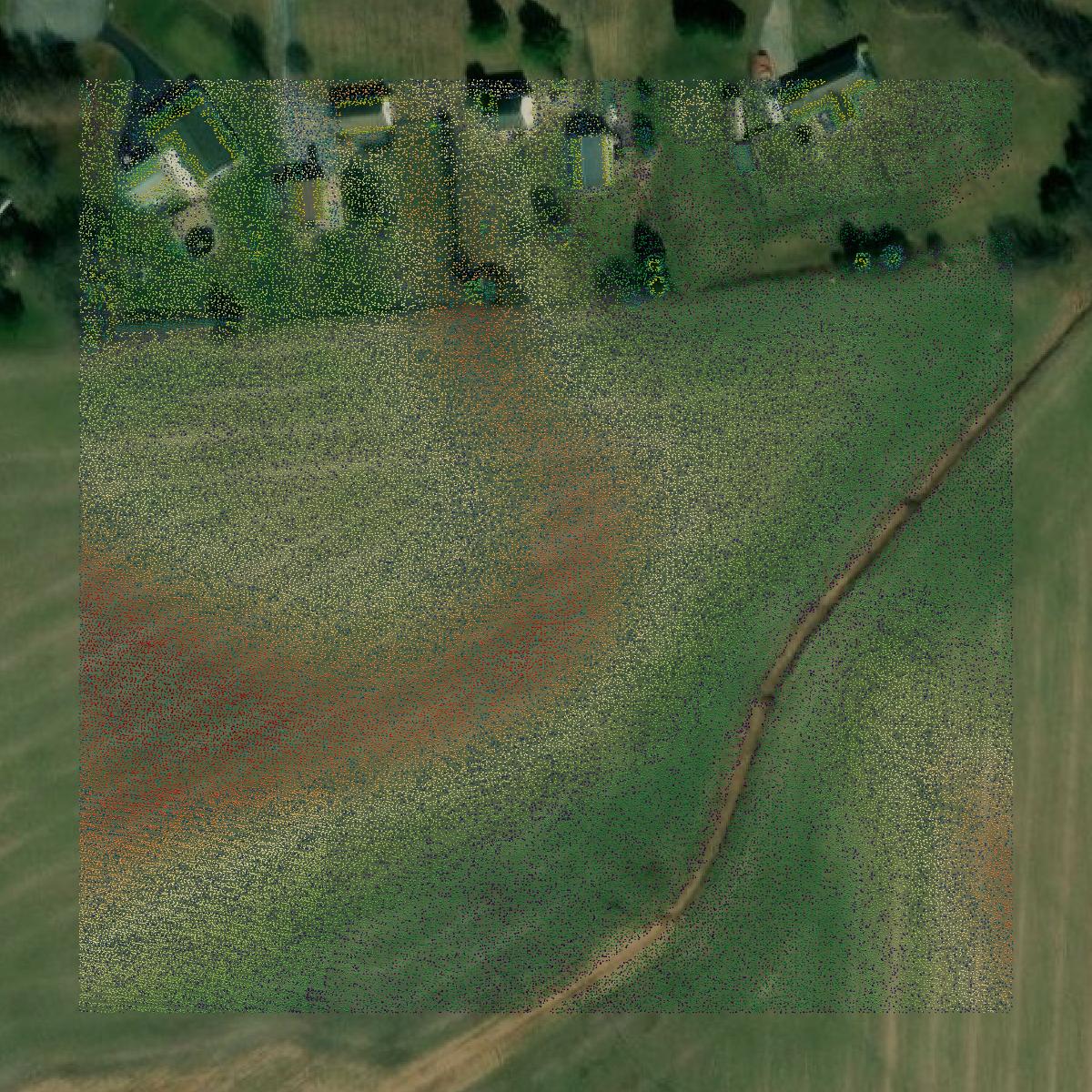 This image shows a LiDAR point cloud in Kent County created using GIS data in Equator.
