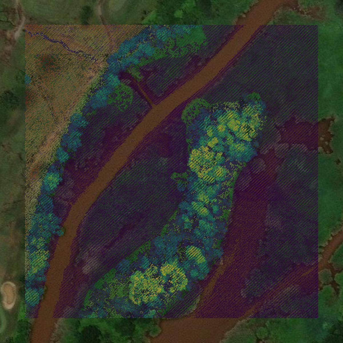 This image shows a LiDAR point cloud in District of Columbia created using GIS data in Equator.