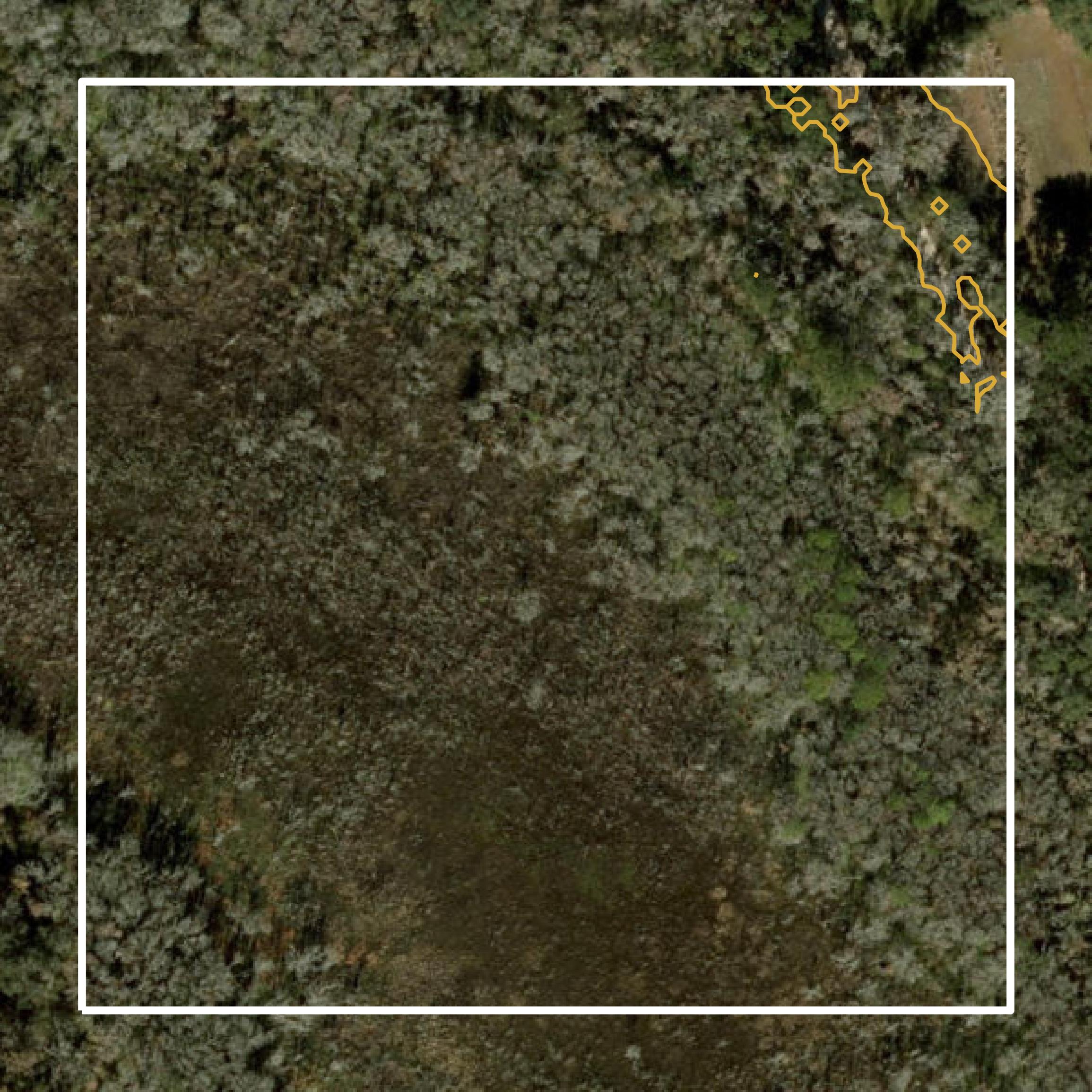 This image shows a contour map in Alachua County created using GIS data in Equator.