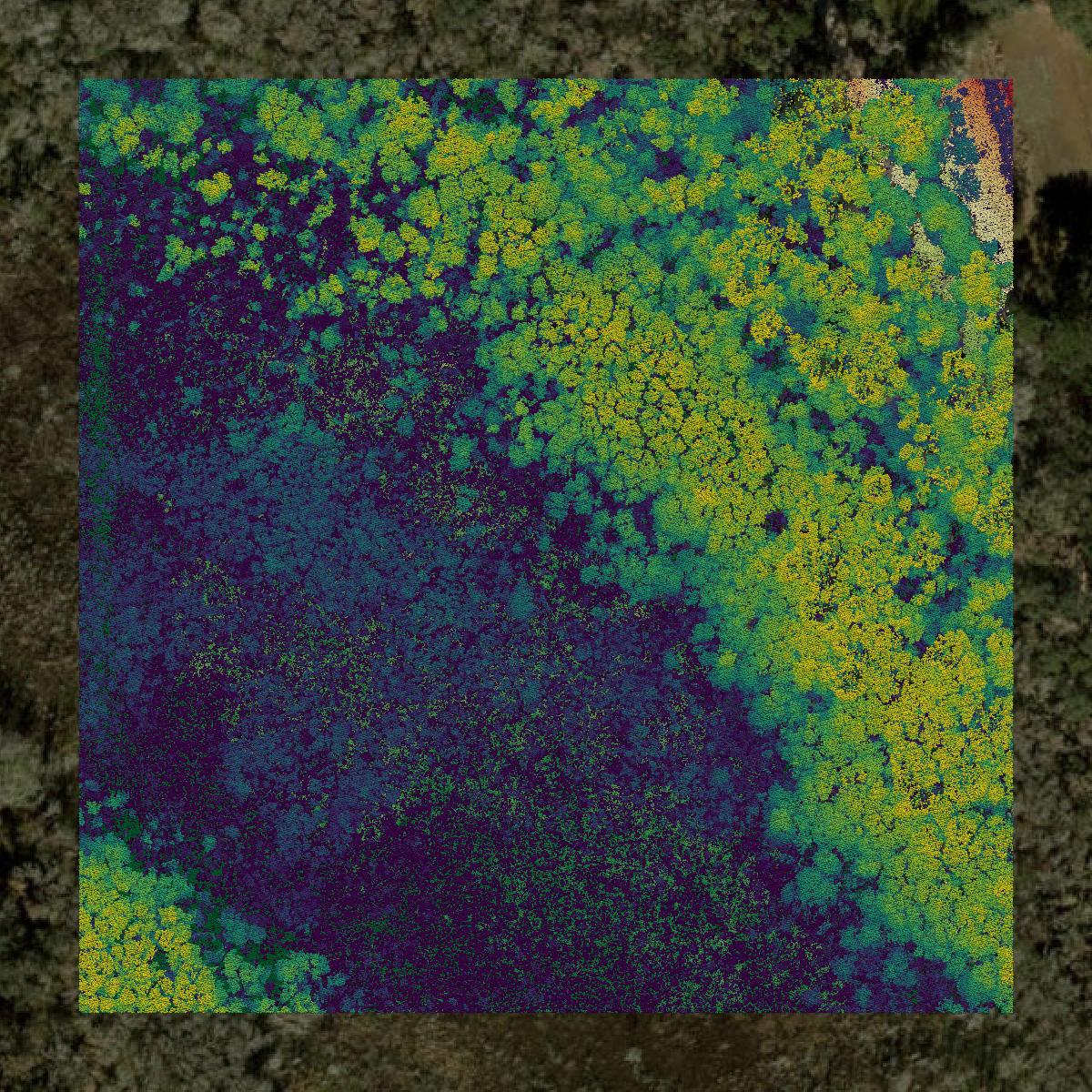 This image shows a LiDAR point cloud in Alachua County created using GIS data in Equator.
