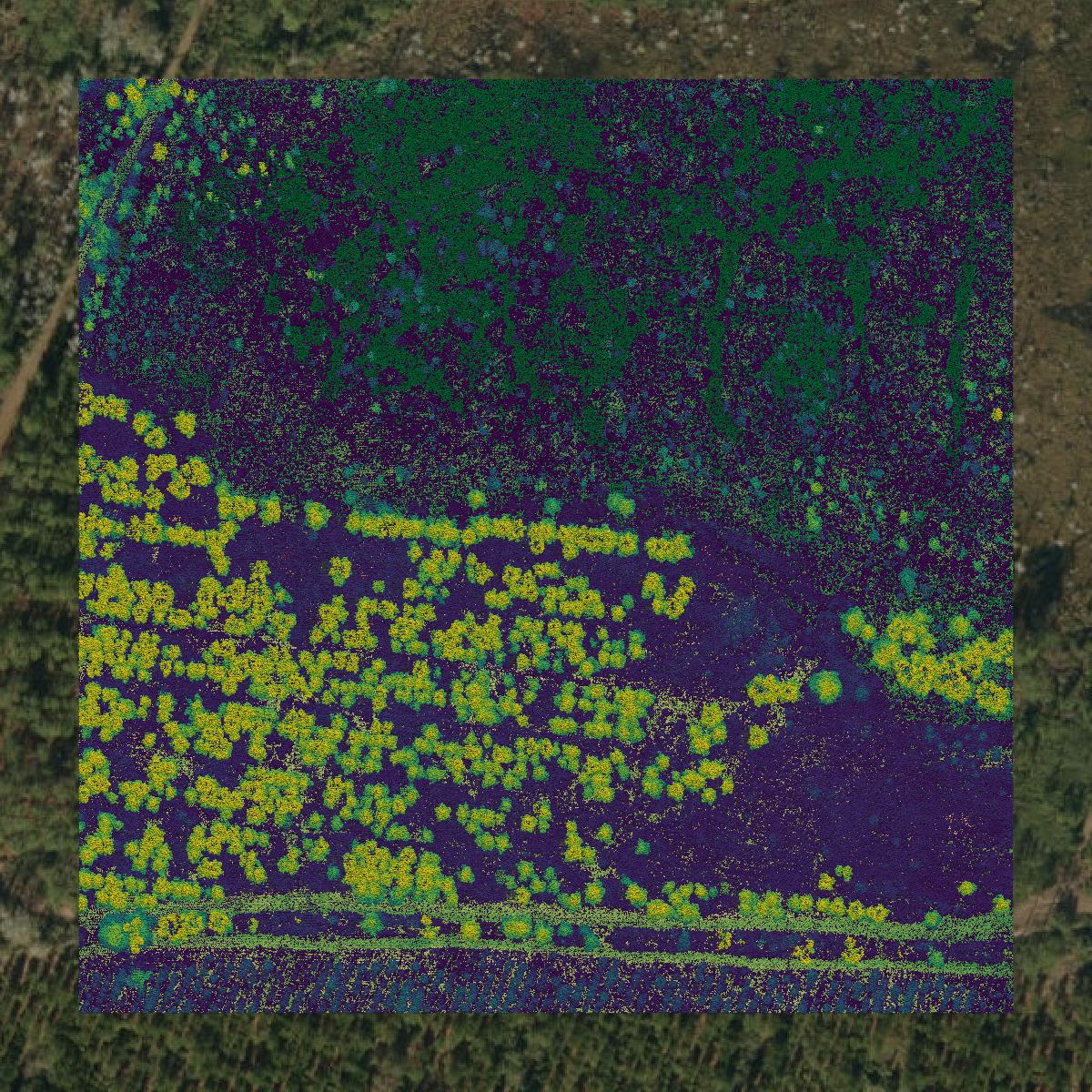 This image shows a LiDAR point cloud in Alachua County created using GIS data in Equator.