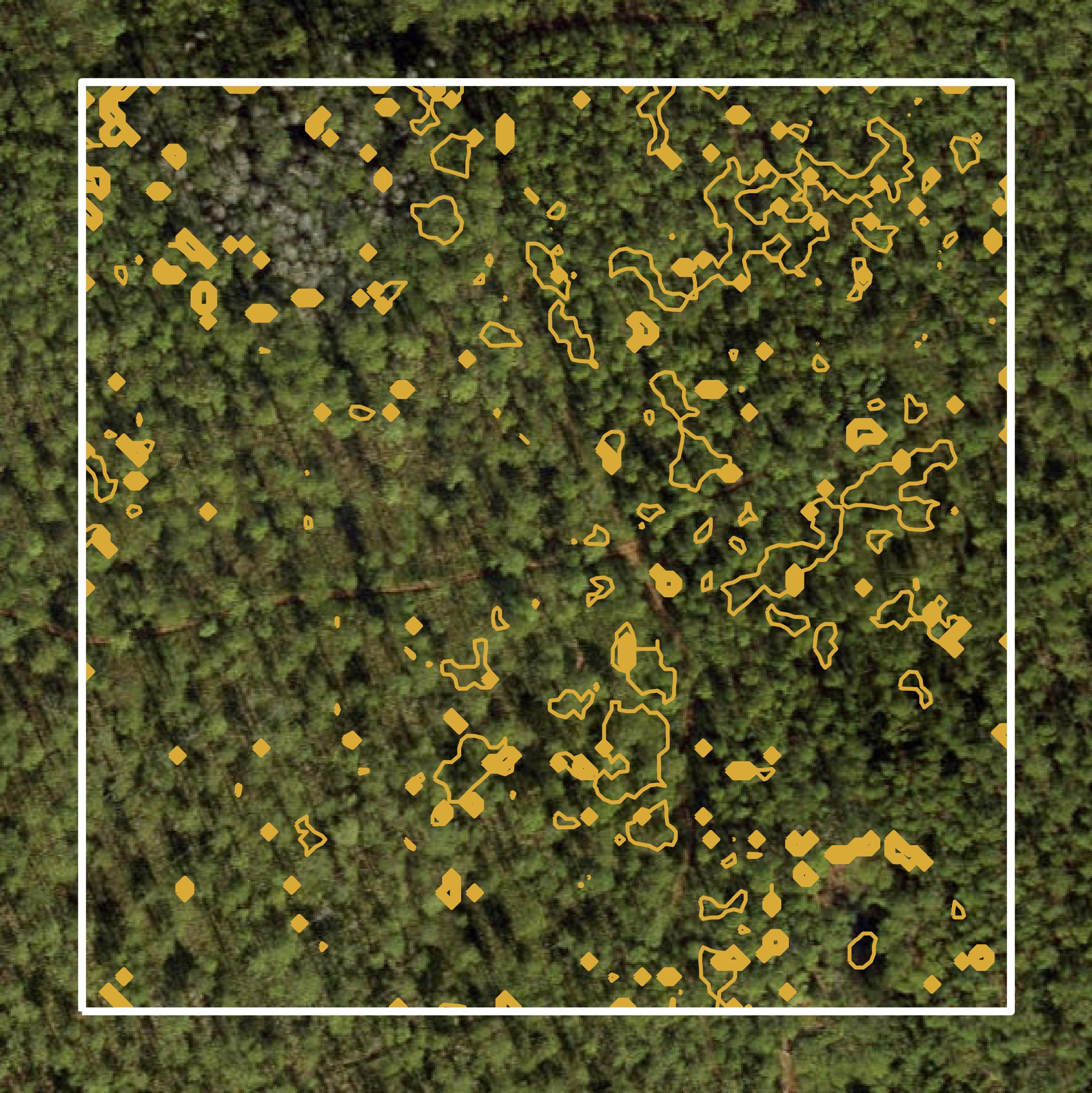 This image shows a contour map in Baker County created using GIS data in Equator.