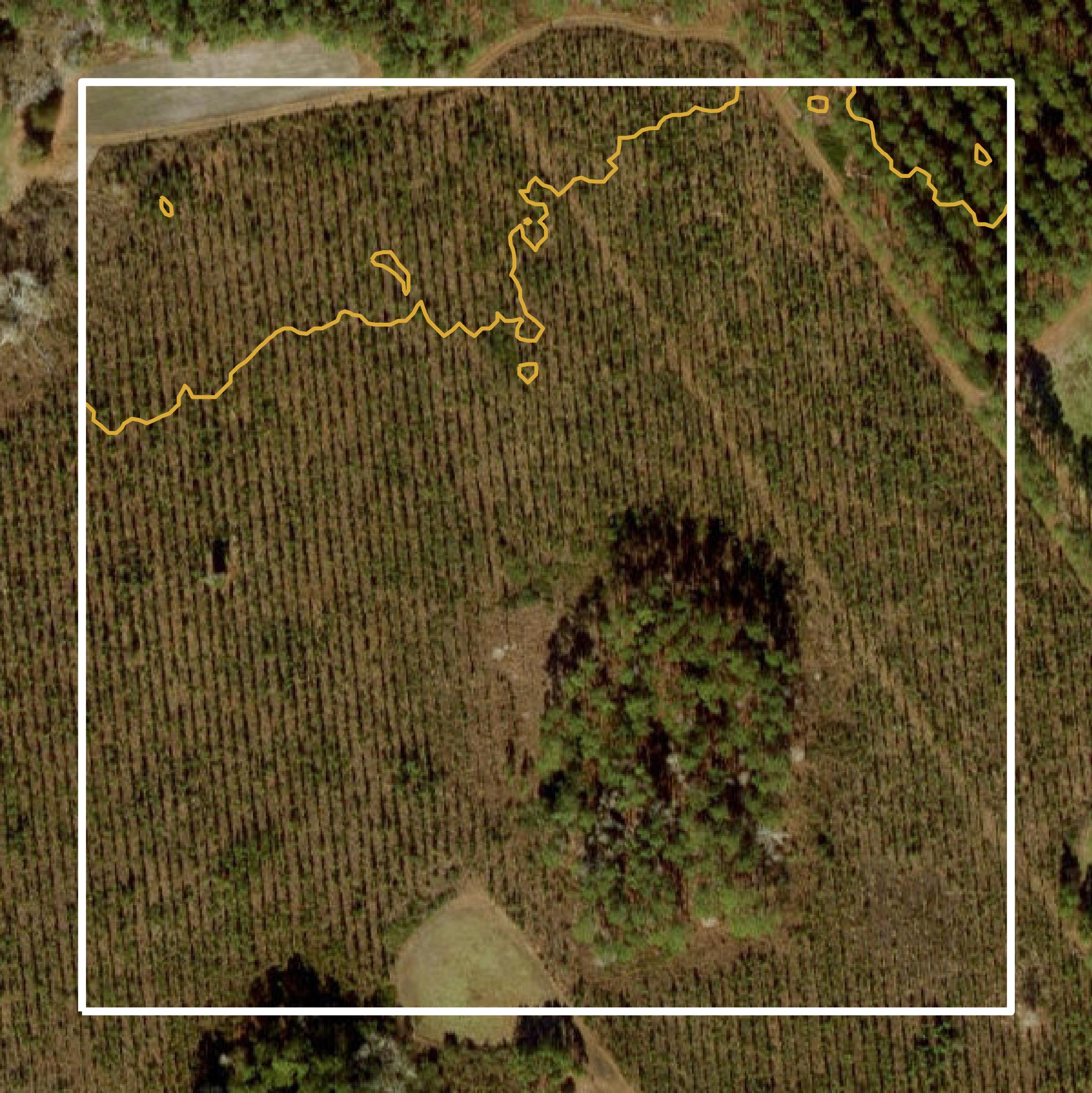 This image shows a contour map in Baker County created using GIS data in Equator.
