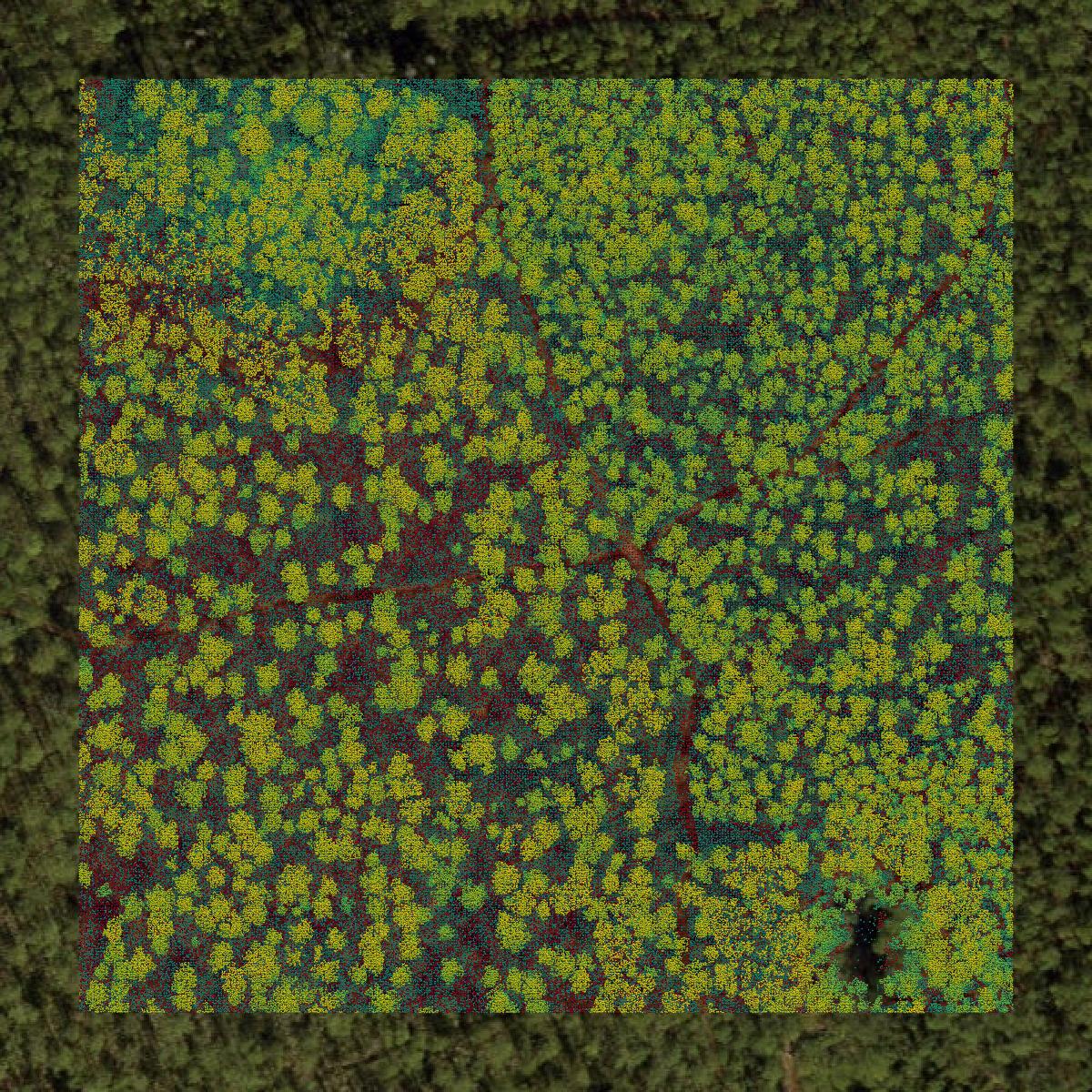 This image shows a LiDAR point cloud in Baker County created using GIS data in Equator.