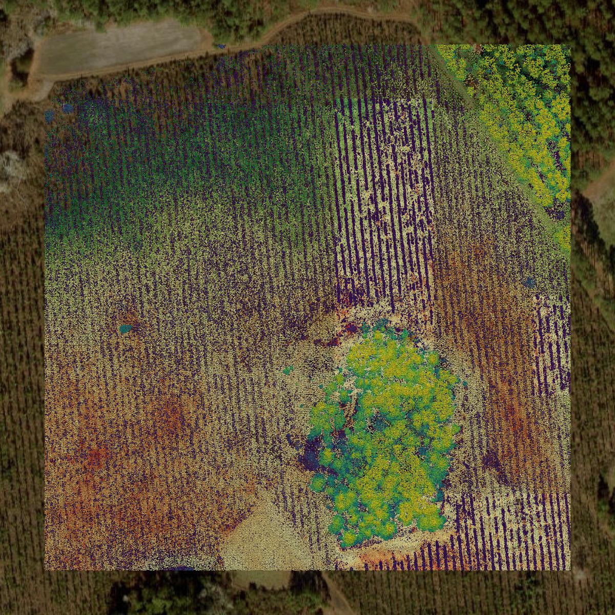 This image shows a LiDAR point cloud in Baker County created using GIS data in Equator.