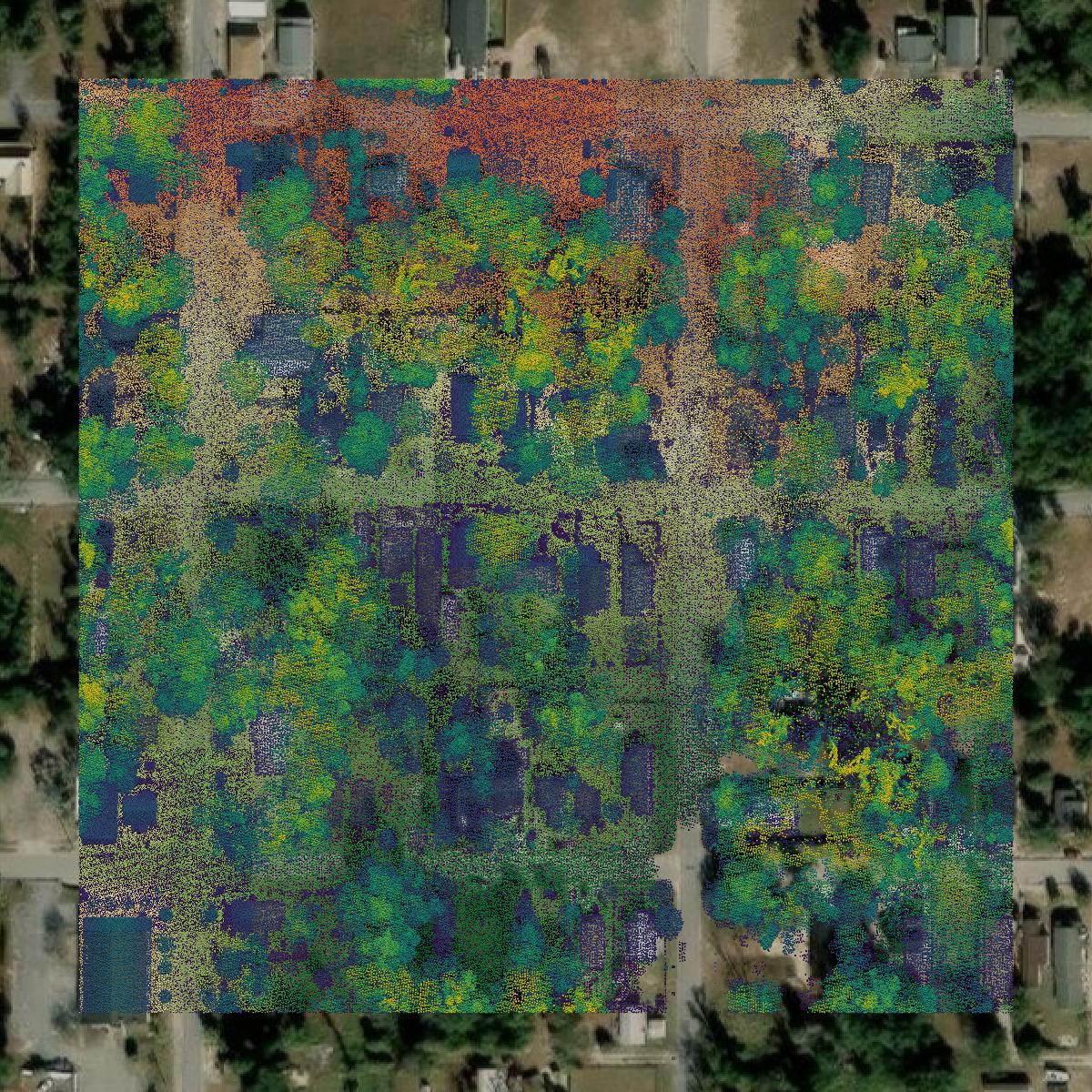 This image shows a LiDAR point cloud in Bay County created using GIS data in Equator.