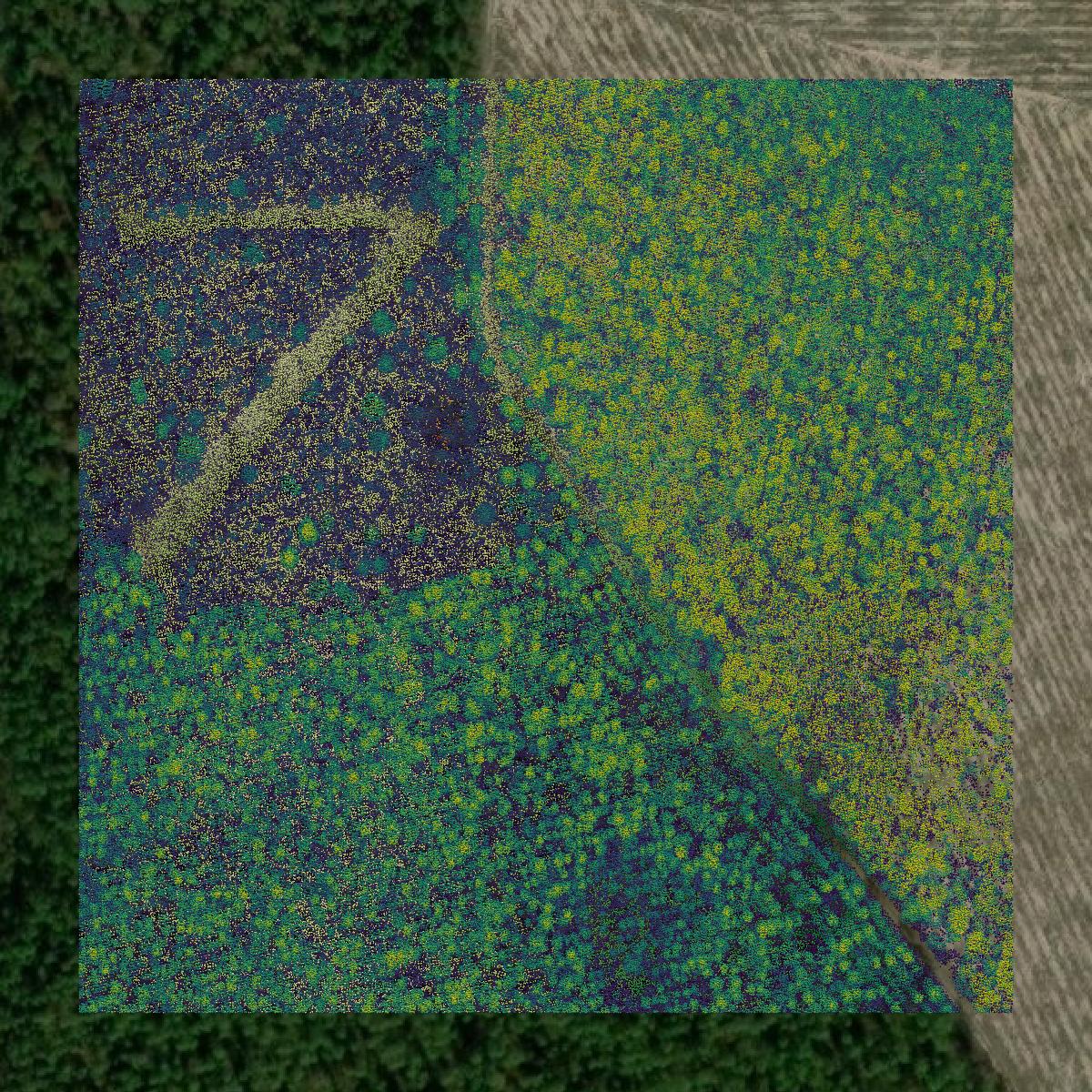 This image shows a LiDAR point cloud in Bay County created using GIS data in Equator.