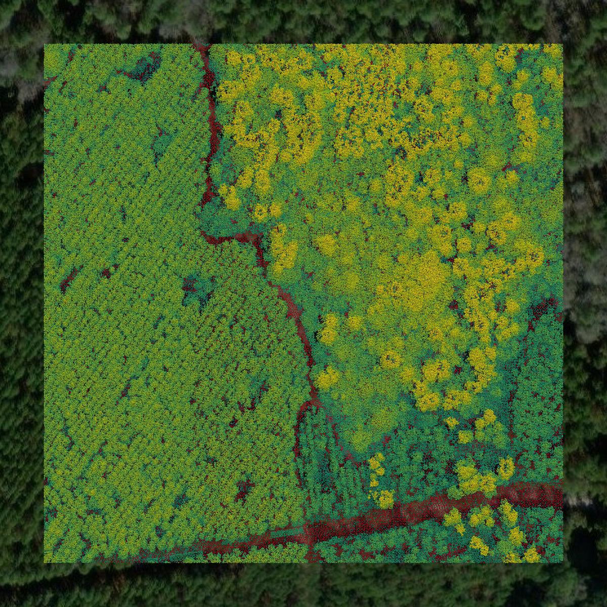 This image shows a LiDAR point cloud in Bradford County created using GIS data in Equator.