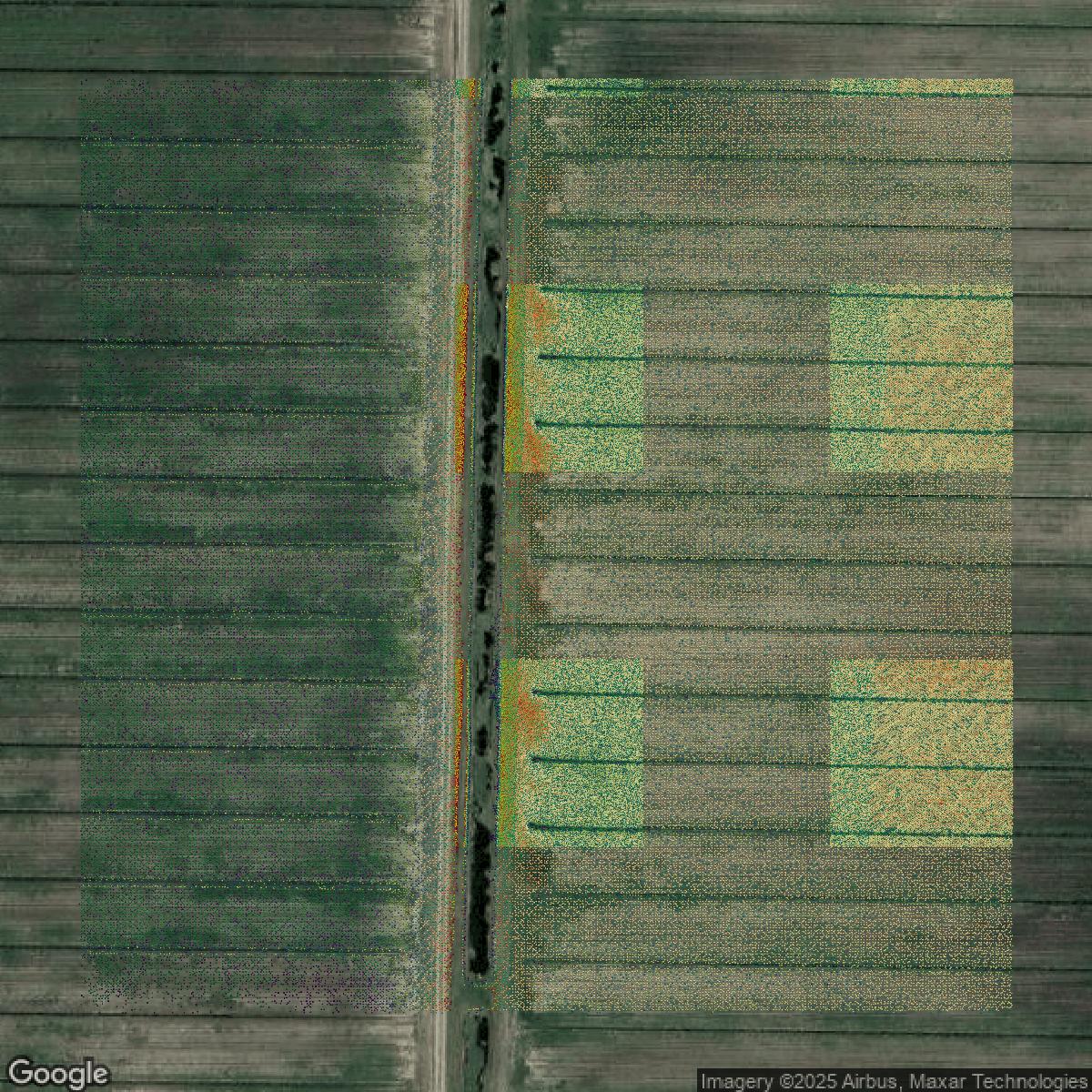This image shows a LiDAR point cloud in Brevard County created using GIS data in Equator.