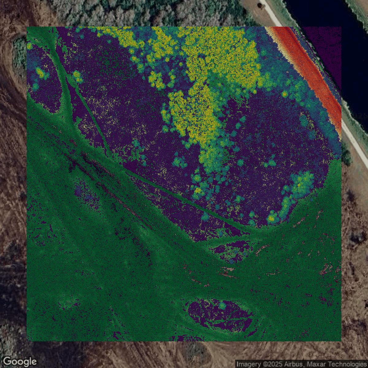 This image shows a LiDAR point cloud in Broward County created using GIS data in Equator.