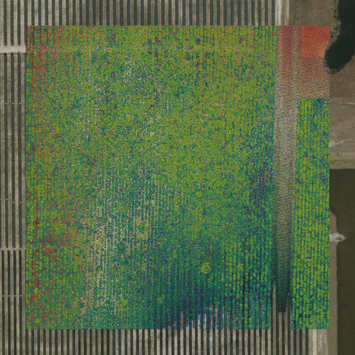 This image shows a LiDAR point cloud in Calhoun County created using GIS data in Equator.