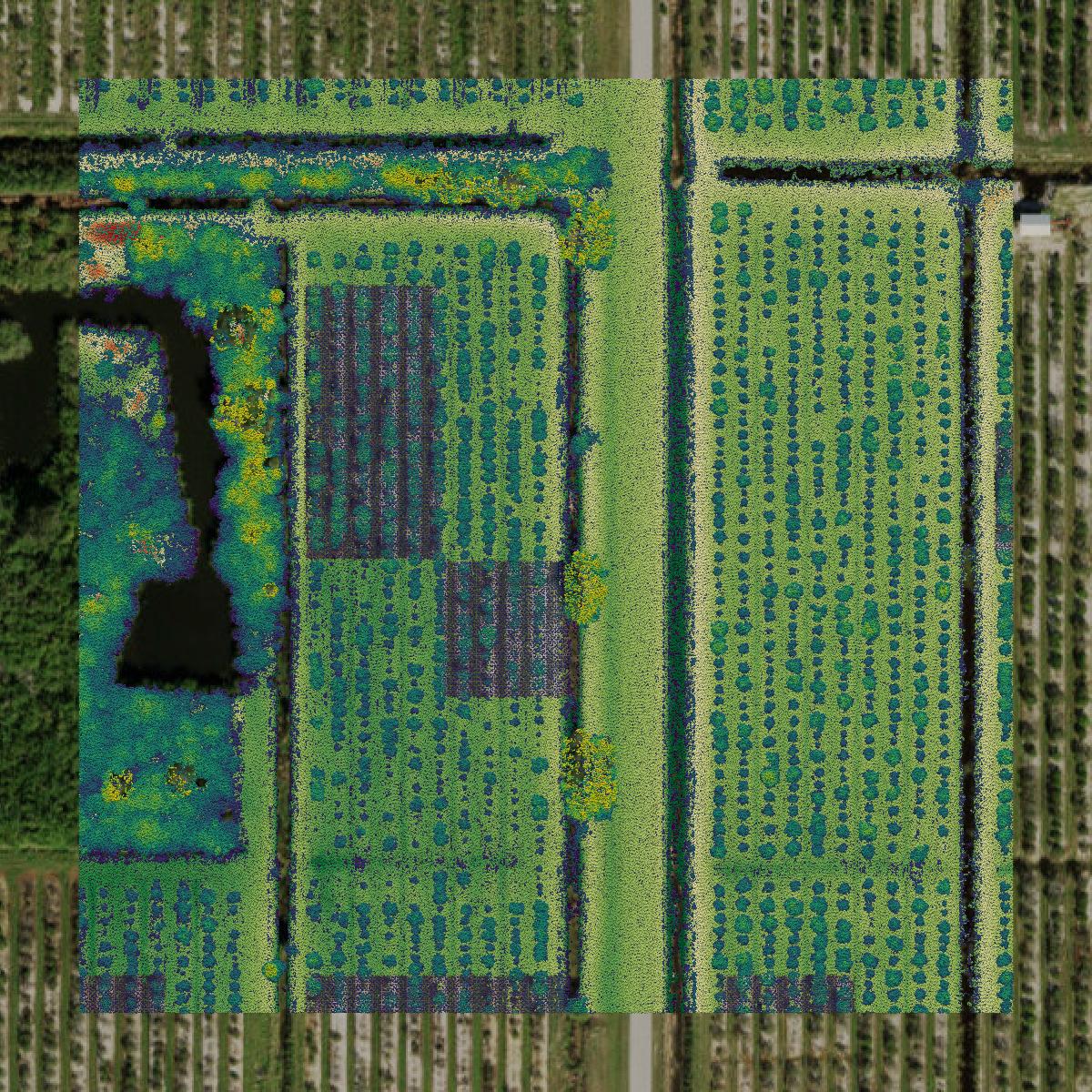This image shows a LiDAR point cloud in Charlotte County created using GIS data in Equator.