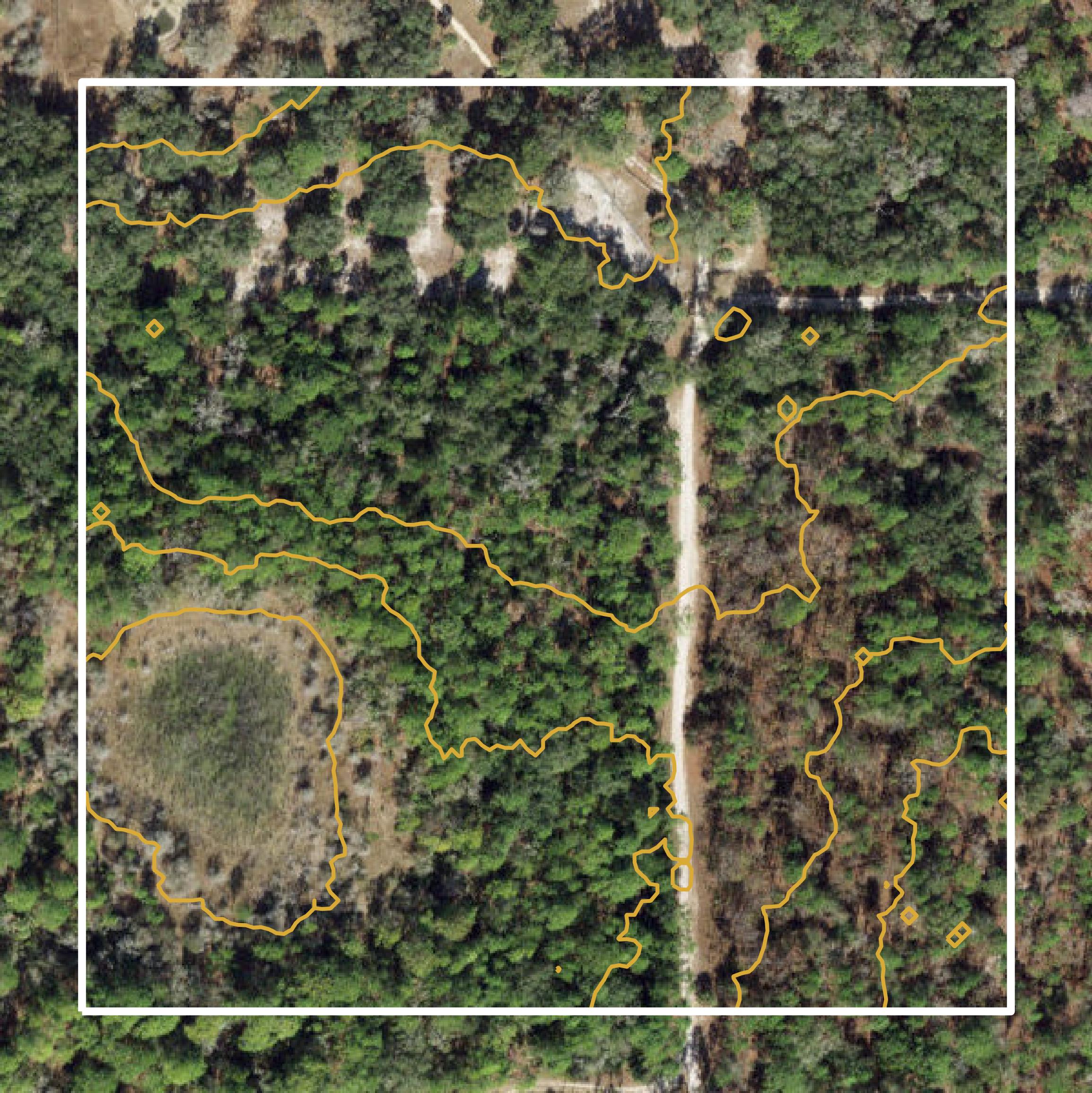This image shows a contour map in Citrus County created using GIS data in Equator.