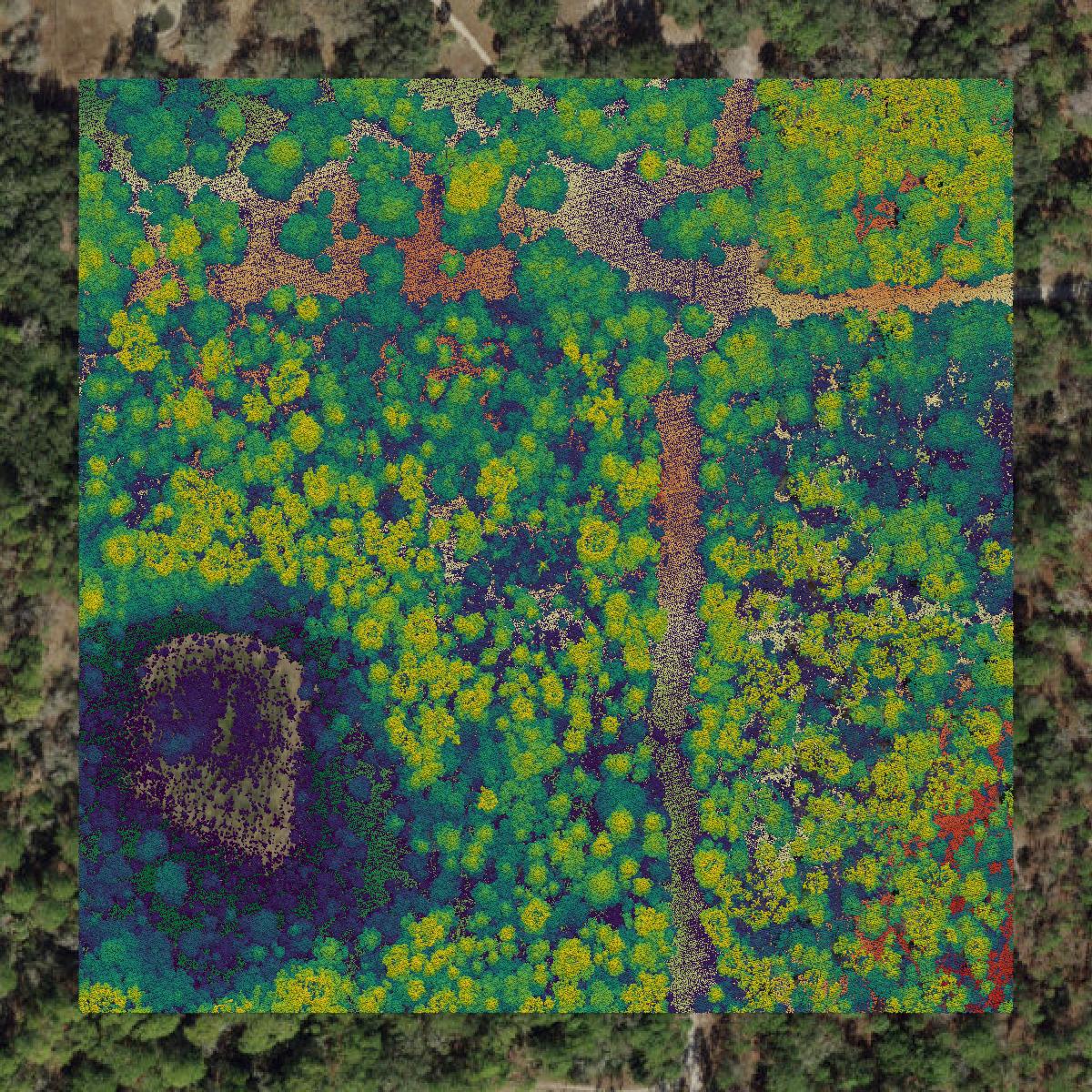 This image shows a LiDAR point cloud in Citrus County created using GIS data in Equator.