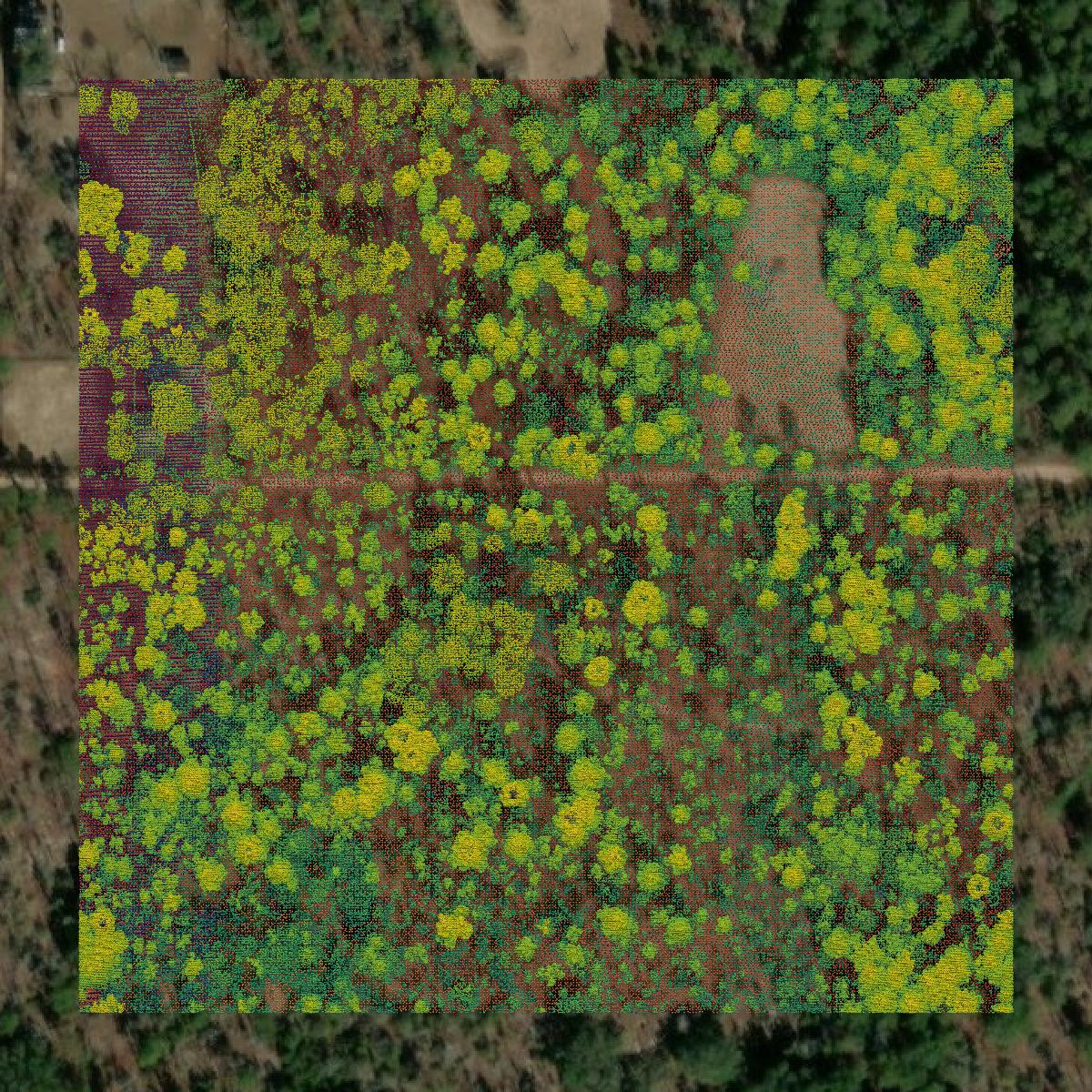 This image shows a LiDAR point cloud in Clay County created using GIS data in Equator.