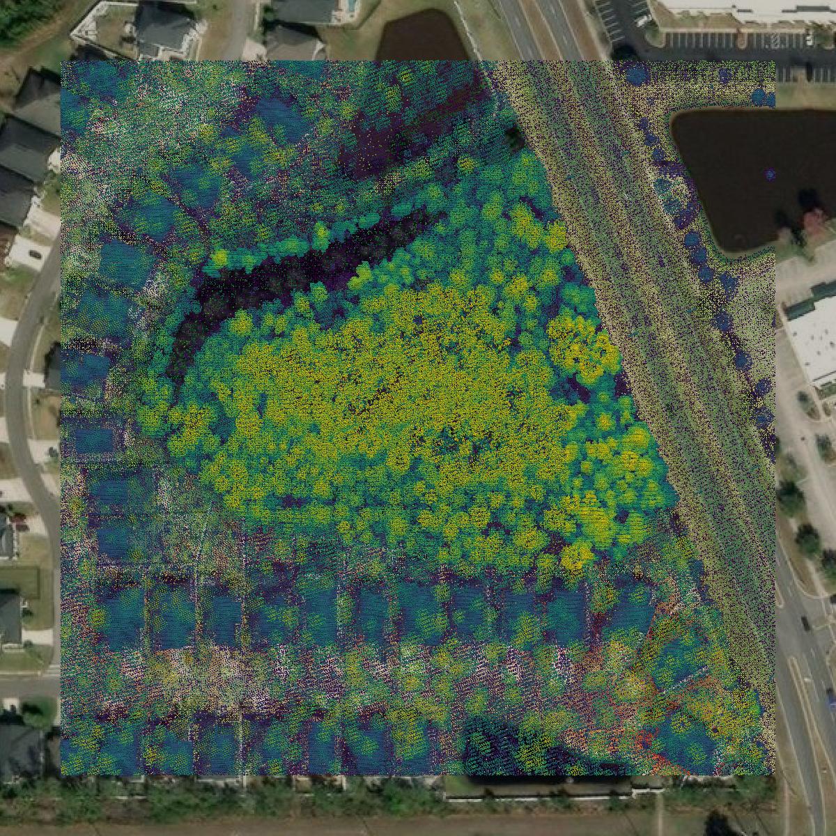 This image shows a LiDAR point cloud in Clay County created using GIS data in Equator.