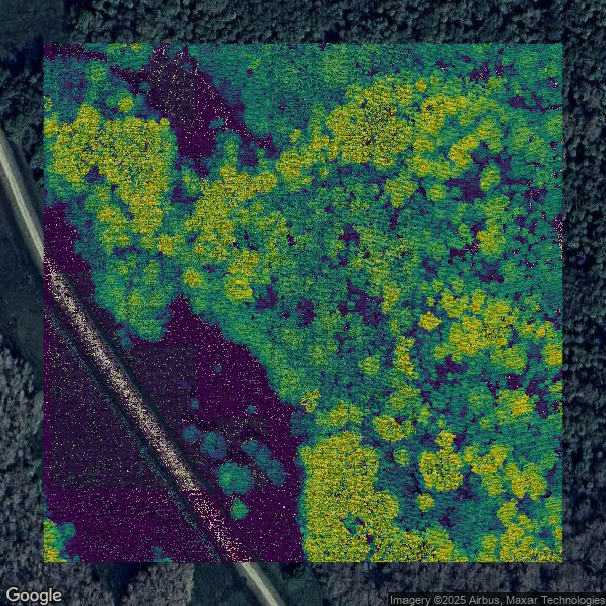 This image shows a LiDAR point cloud in Collier County created using GIS data in Equator.