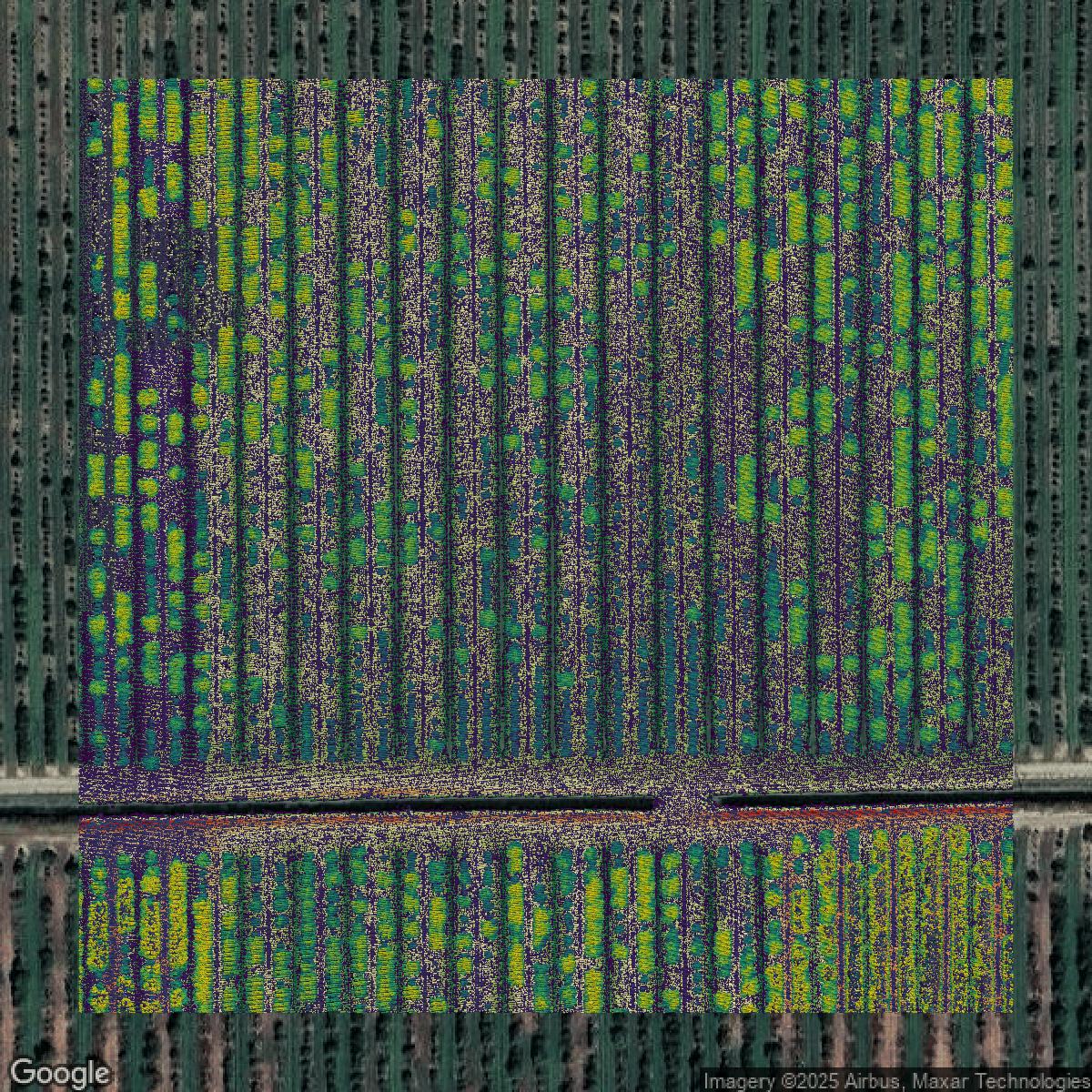 This image shows a LiDAR point cloud in Collier County created using GIS data in Equator.