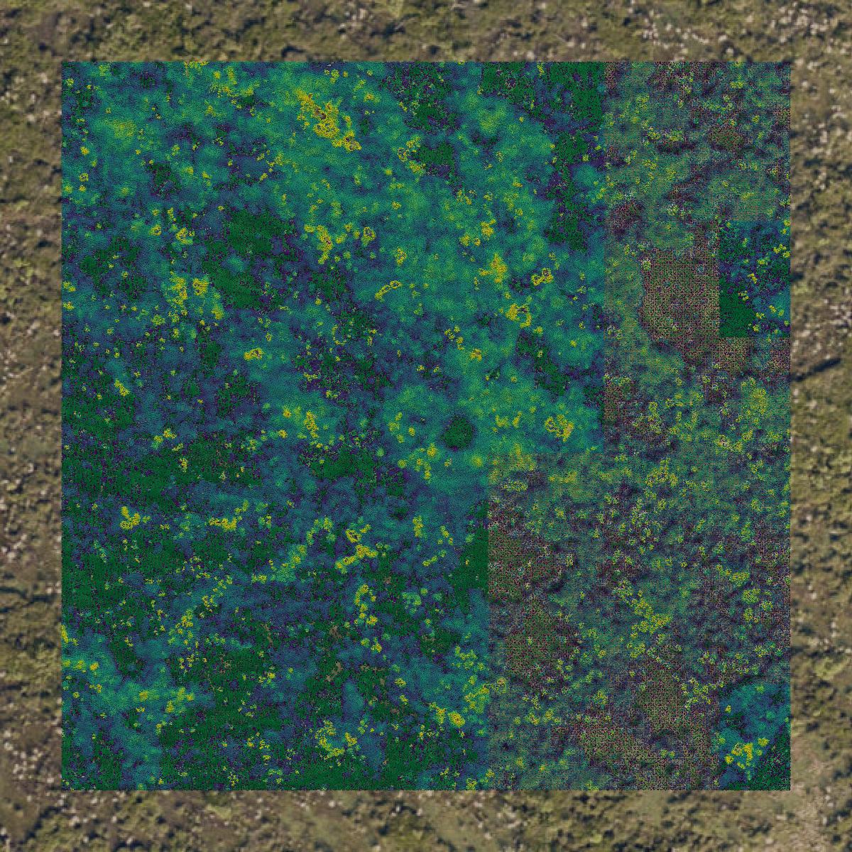 This image shows a LiDAR point cloud in Columbia County created using GIS data in Equator.