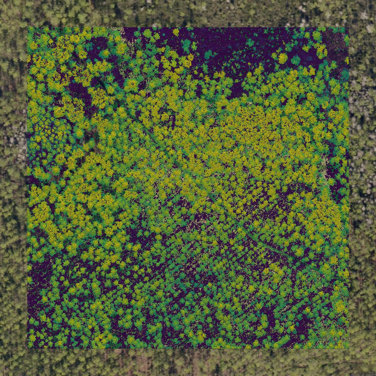 This image shows a LiDAR point cloud in Columbia County created using GIS data in Equator.
