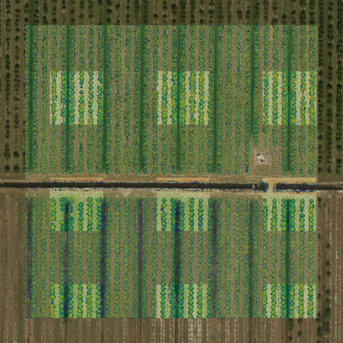 This image shows a LiDAR point cloud in DeSoto County created using GIS data in Equator.