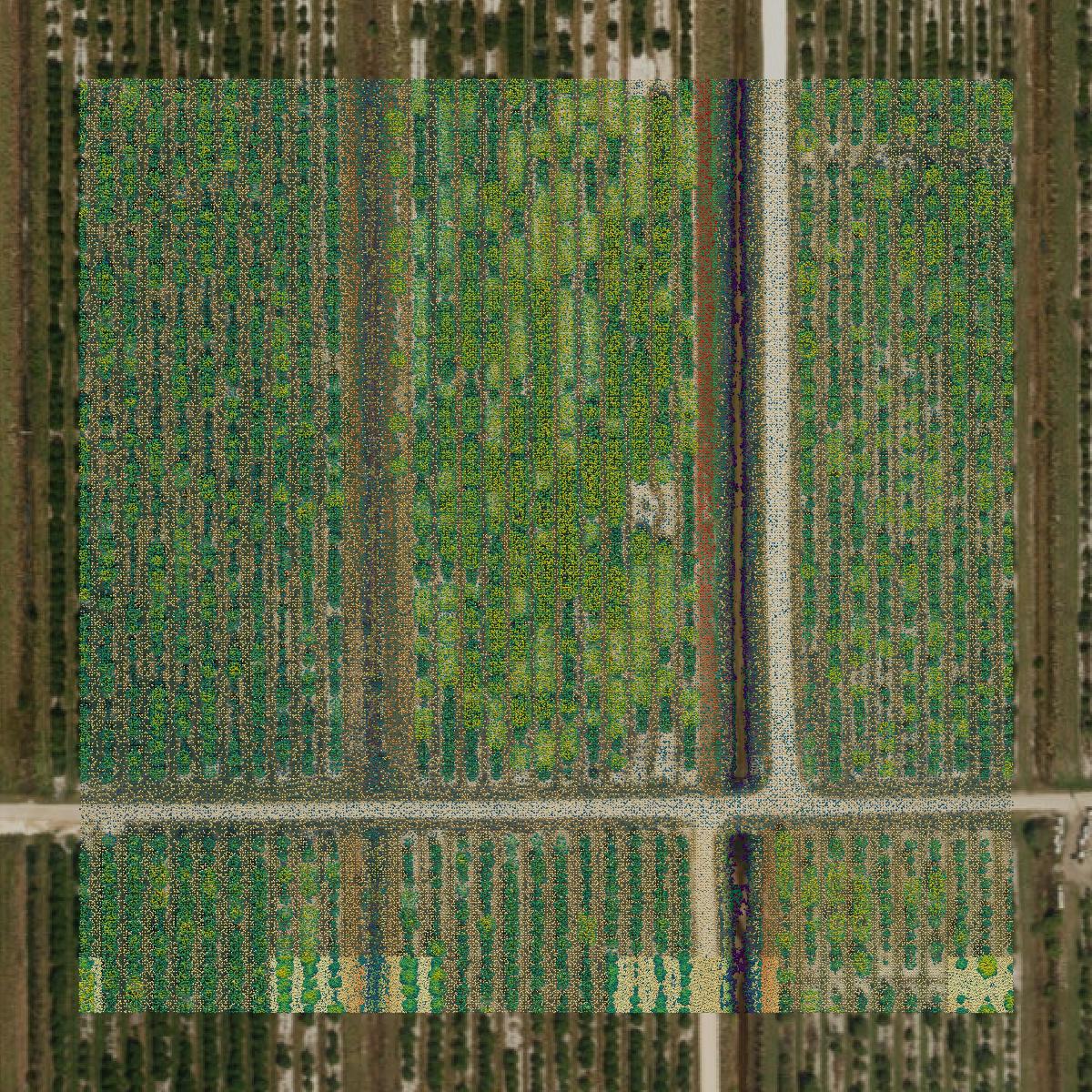 This image shows a LiDAR point cloud in DeSoto County created using GIS data in Equator.