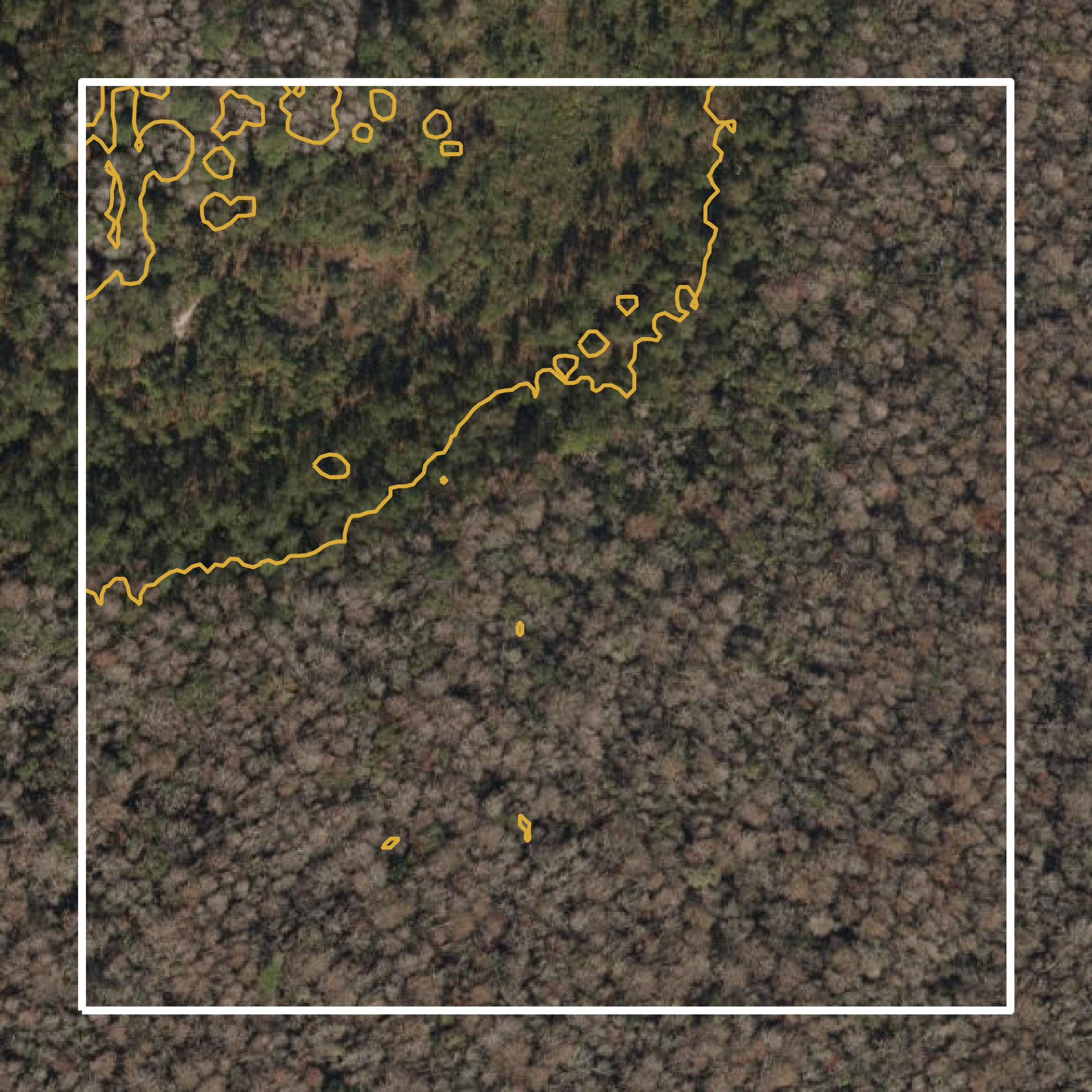 This image shows a contour map in Dixie County created using GIS data in Equator.