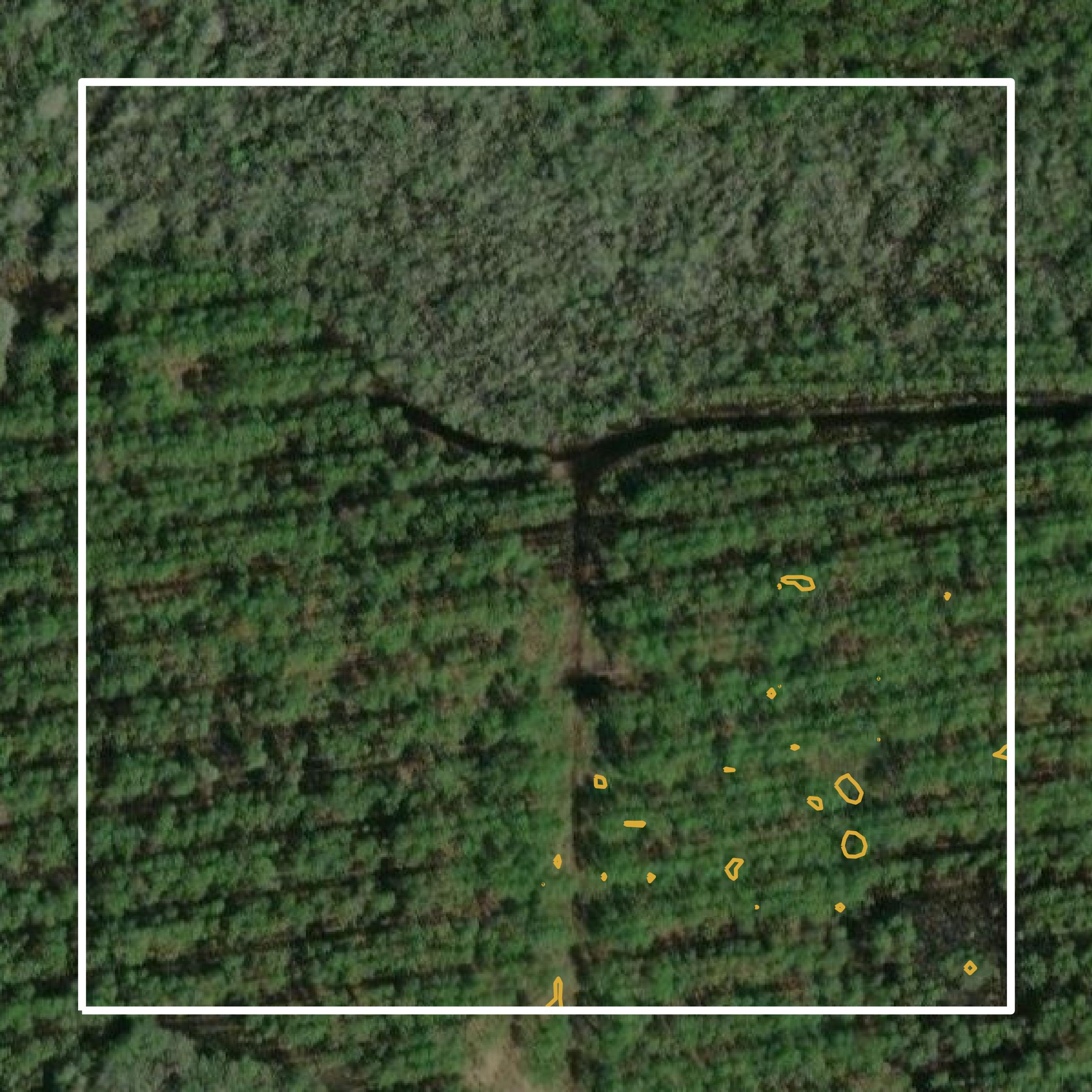This image shows a contour map in Dixie County created using GIS data in Equator.