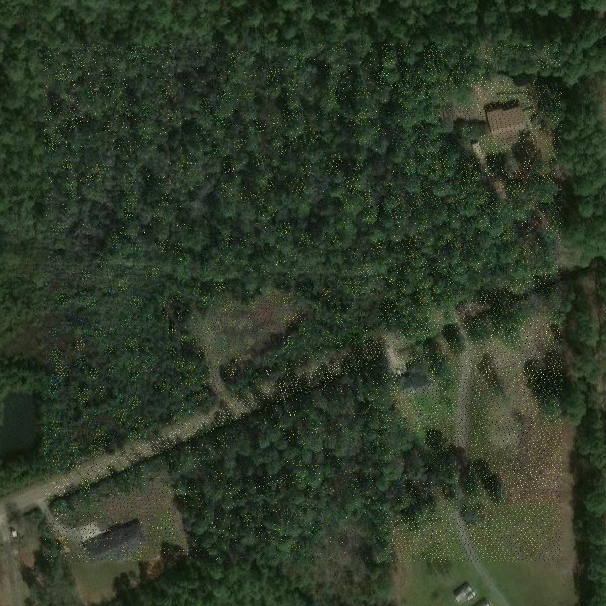 This image shows a LiDAR point cloud in Escambia County created using GIS data in Equator.