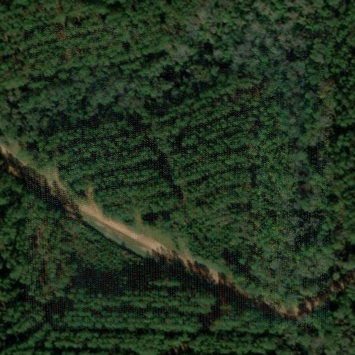 This image shows a LiDAR point cloud in Escambia County created using GIS data in Equator.