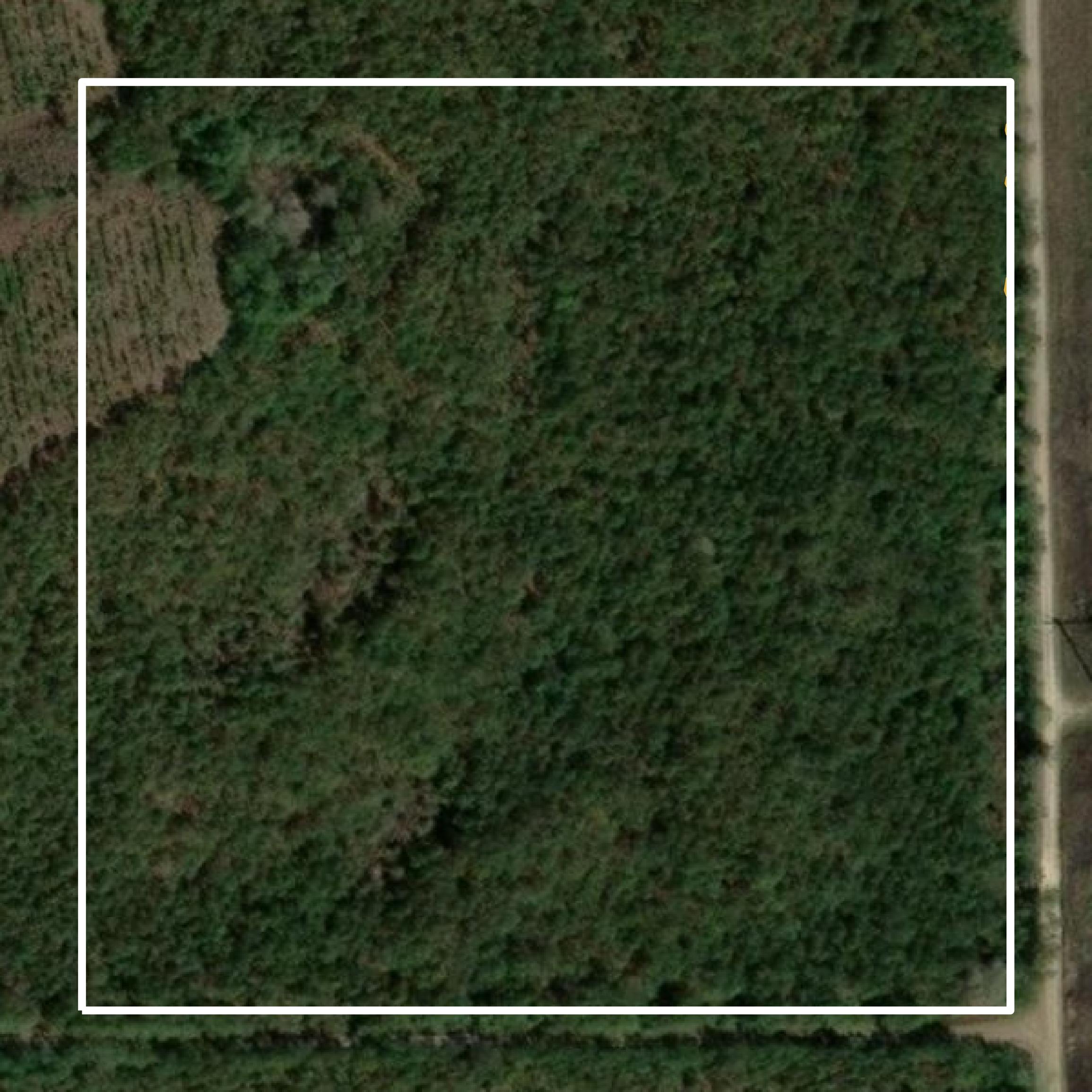 This image shows a contour map in Flagler County created using GIS data in Equator.