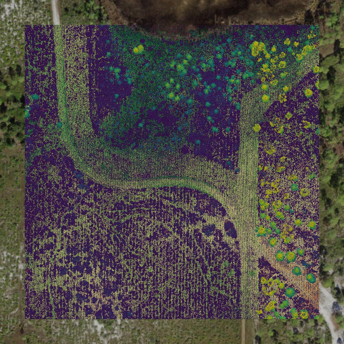 This image shows a LiDAR point cloud in Franklin County created using GIS data in Equator.