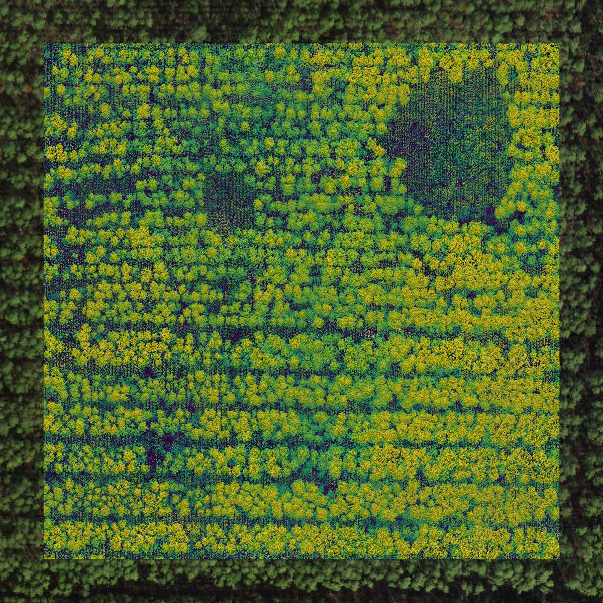 This image shows a LiDAR point cloud in Franklin County created using GIS data in Equator.