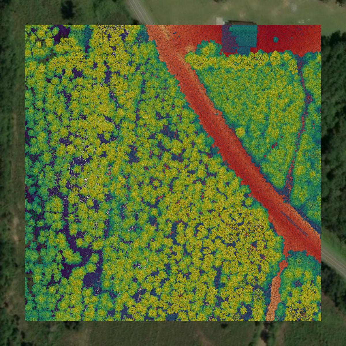 This image shows a LiDAR point cloud in Gadsden County created using GIS data in Equator.