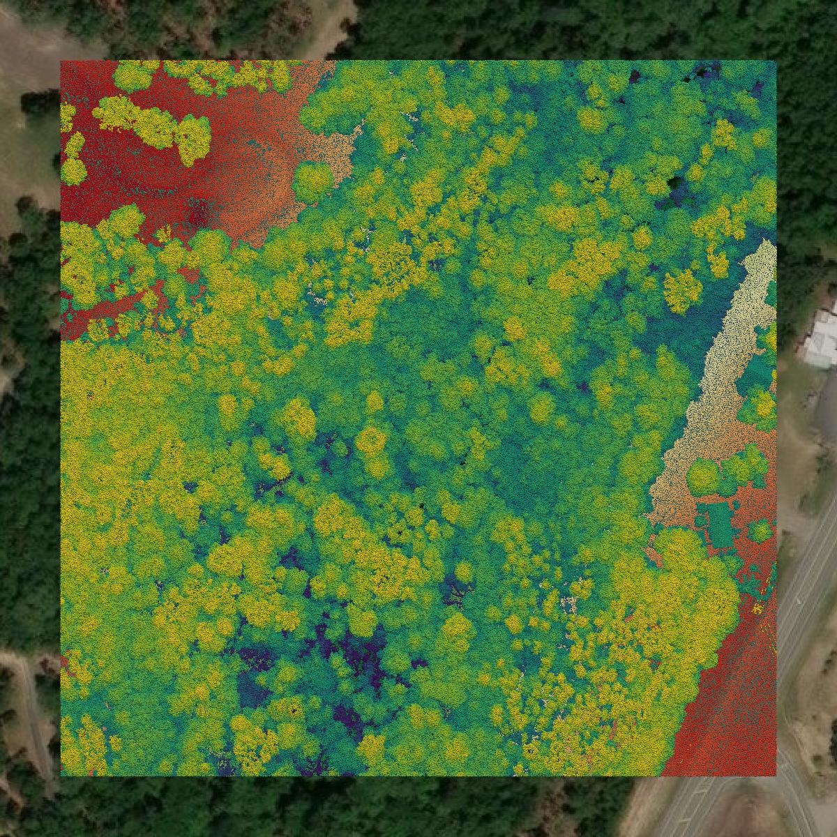 This image shows a LiDAR point cloud in Gadsden County created using GIS data in Equator.