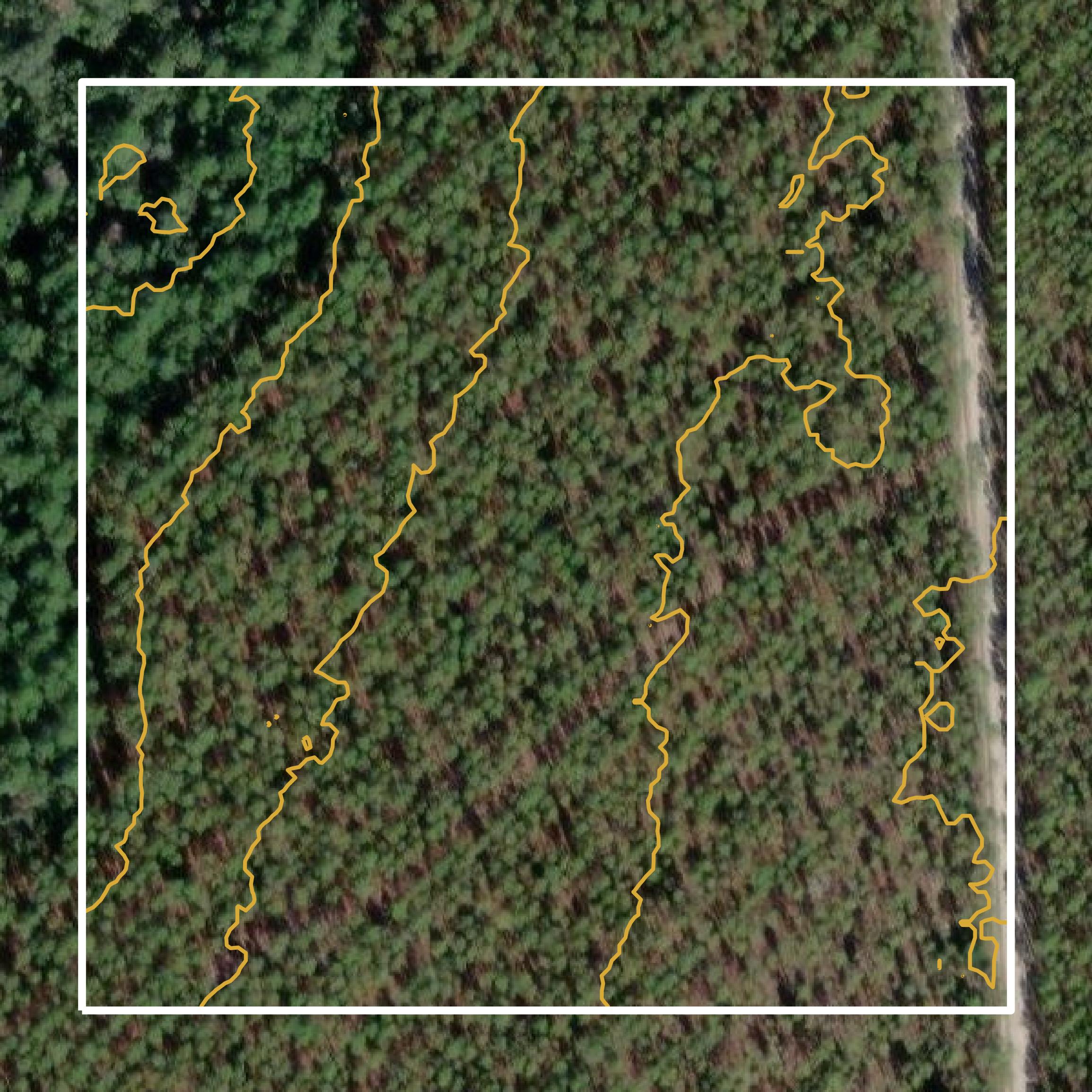 This image shows a contour map in Gilchrist County created using GIS data in Equator.