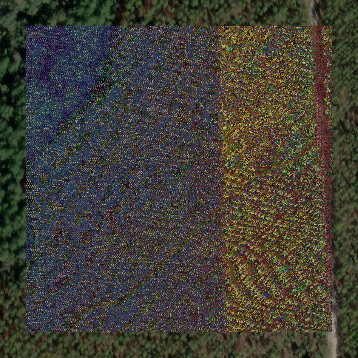 This image shows a LiDAR point cloud in Gilchrist County created using GIS data in Equator.