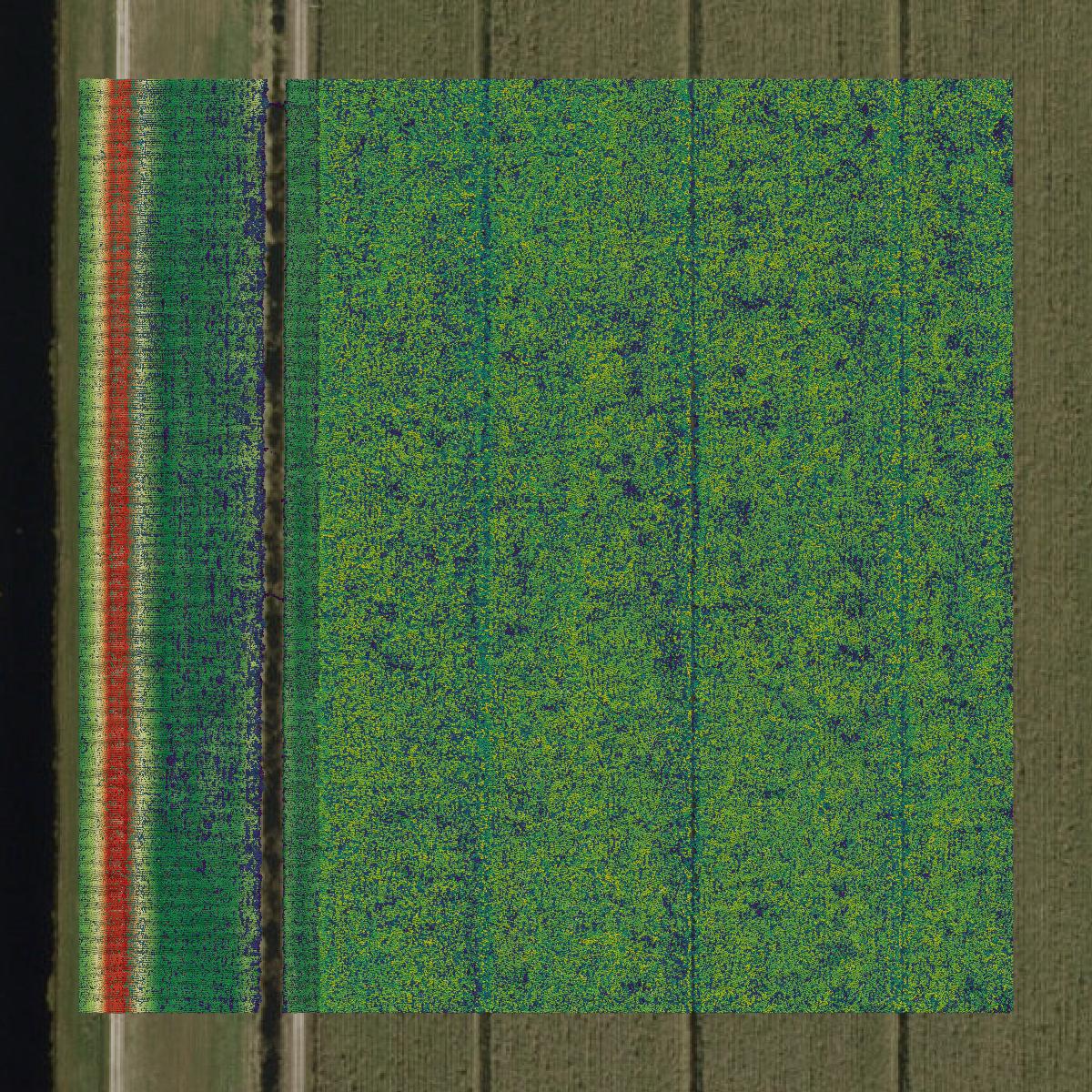 This image shows a LiDAR point cloud in Glades County created using GIS data in Equator.