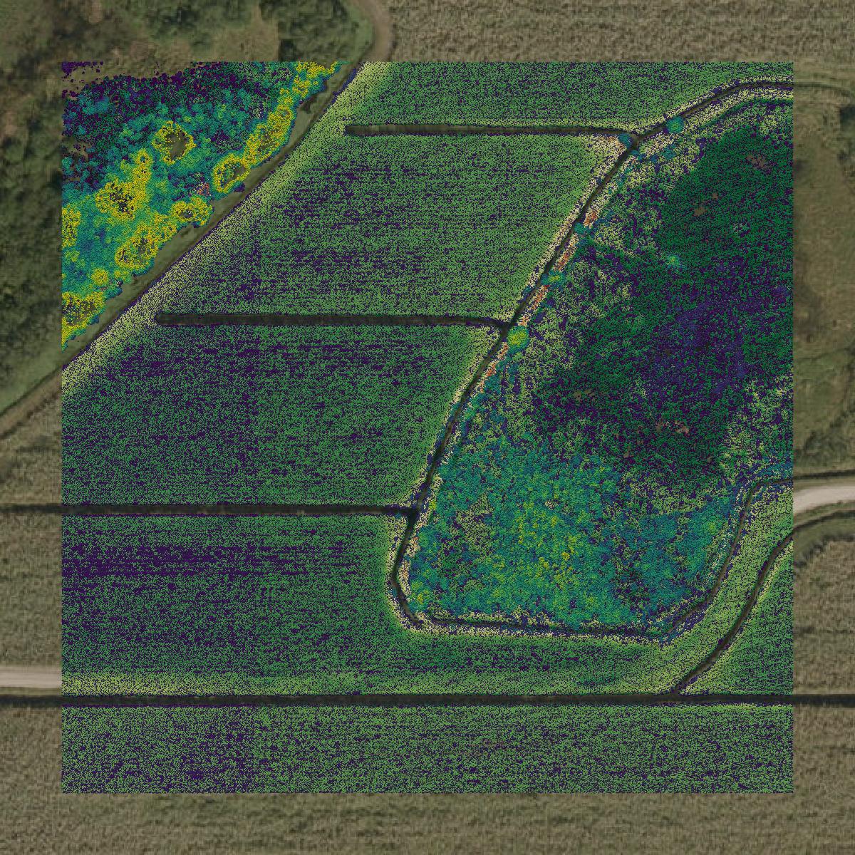 This image shows a LiDAR point cloud in Glades County created using GIS data in Equator.