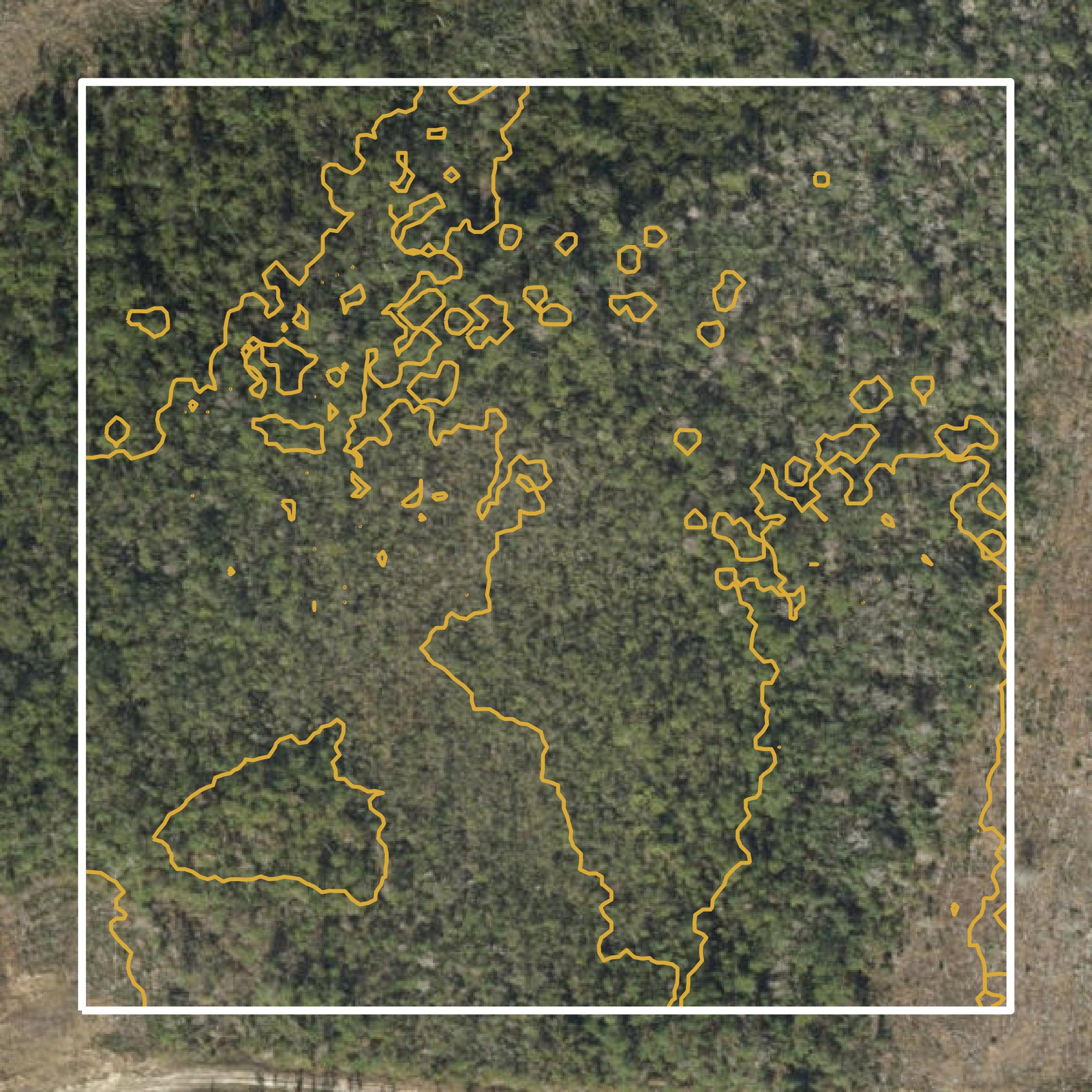 This image shows a contour map in Gulf County created using GIS data in Equator.