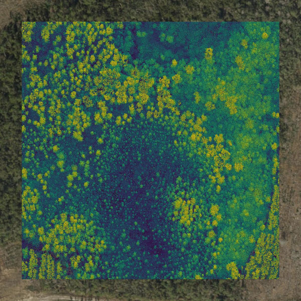 This image shows a LiDAR point cloud in Gulf County created using GIS data in Equator.