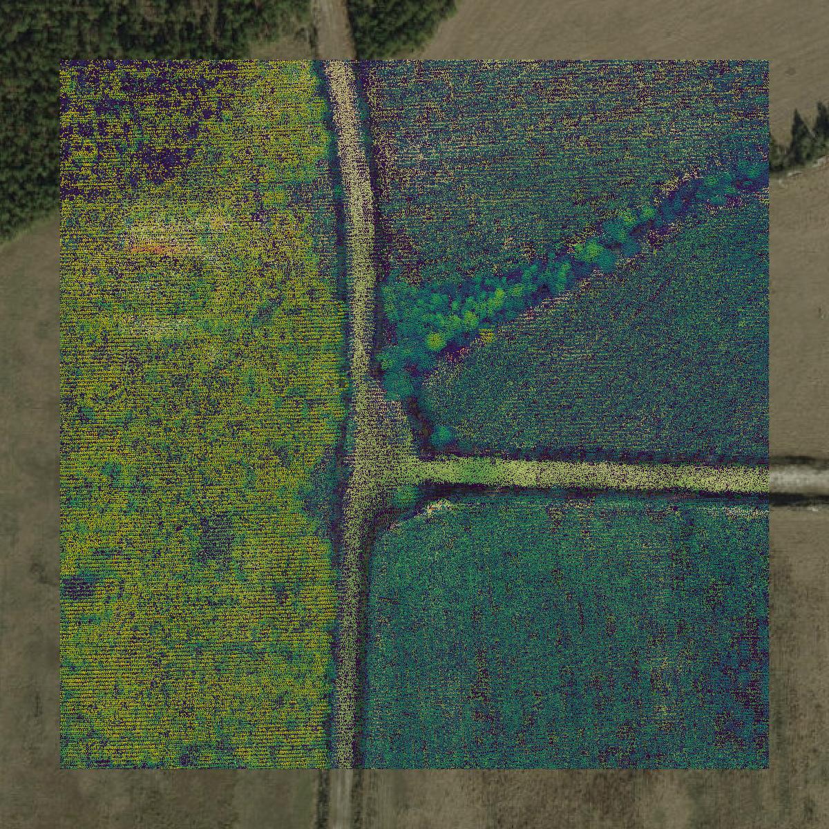 This image shows a LiDAR point cloud in Gulf County created using GIS data in Equator.