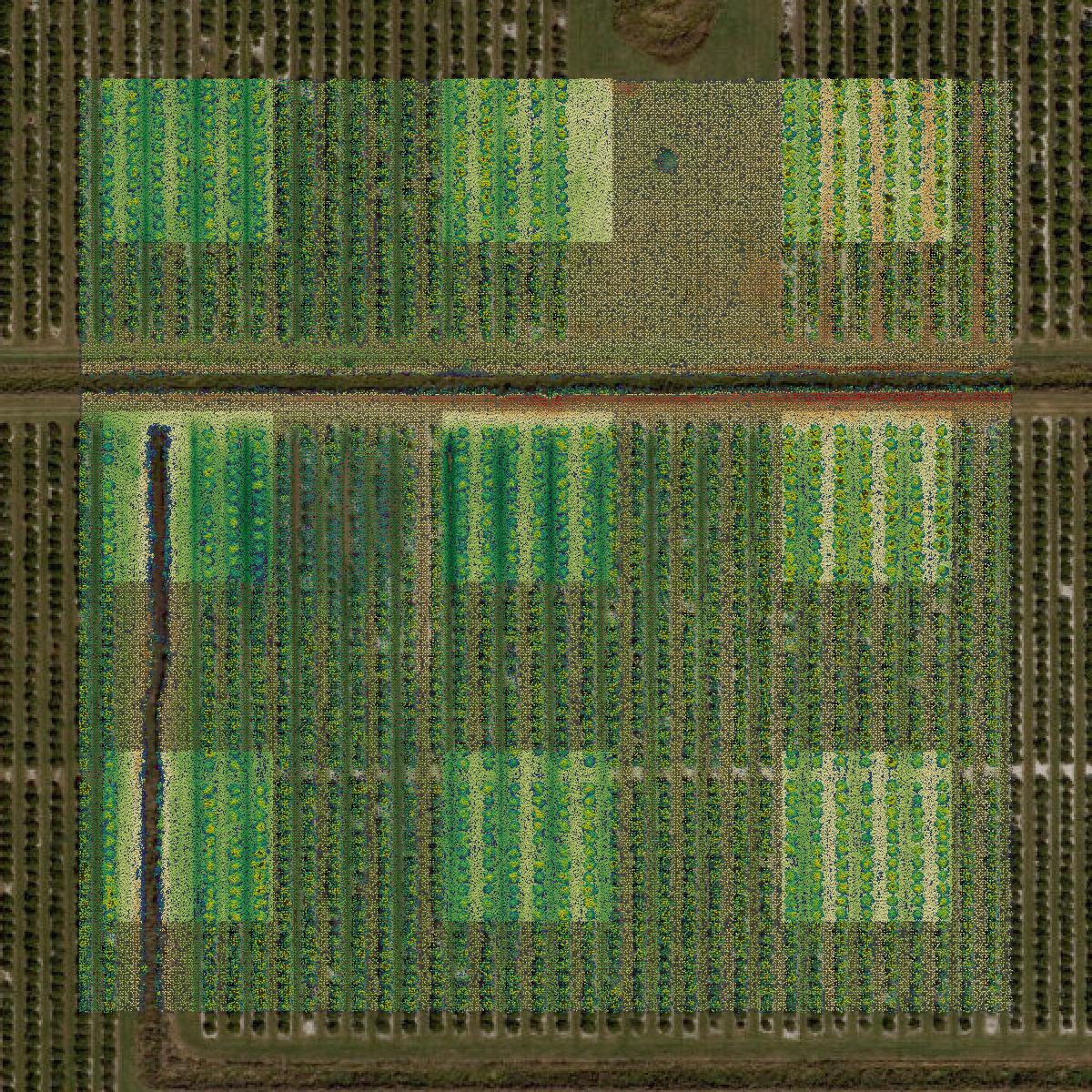 This image shows a LiDAR point cloud in Hardee County created using GIS data in Equator.