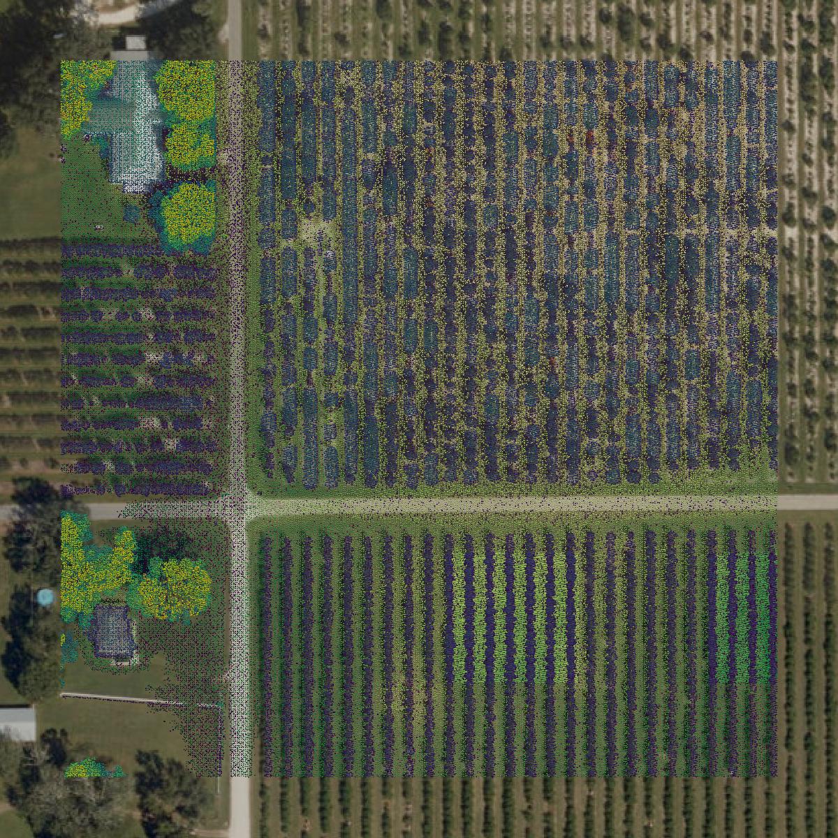 This image shows a LiDAR point cloud in Hardee County created using GIS data in Equator.