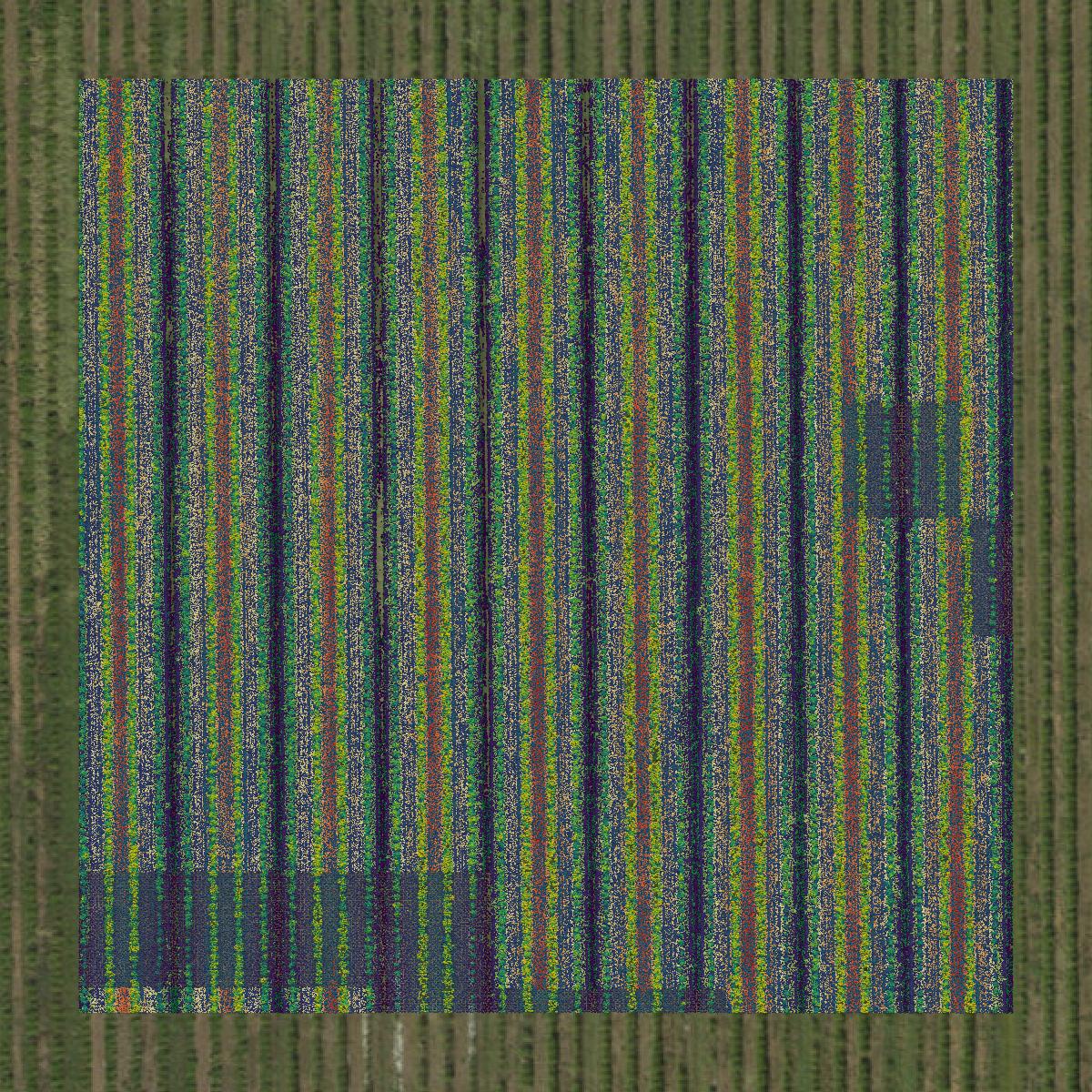 This image shows a LiDAR point cloud in Hendry County created using GIS data in Equator.