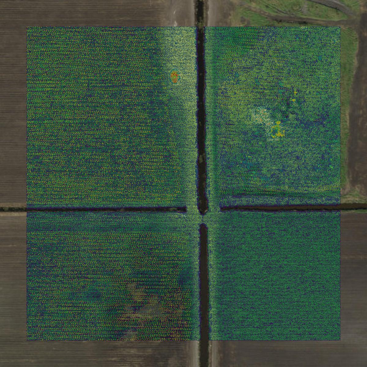 This image shows a LiDAR point cloud in Hendry County created using GIS data in Equator.
