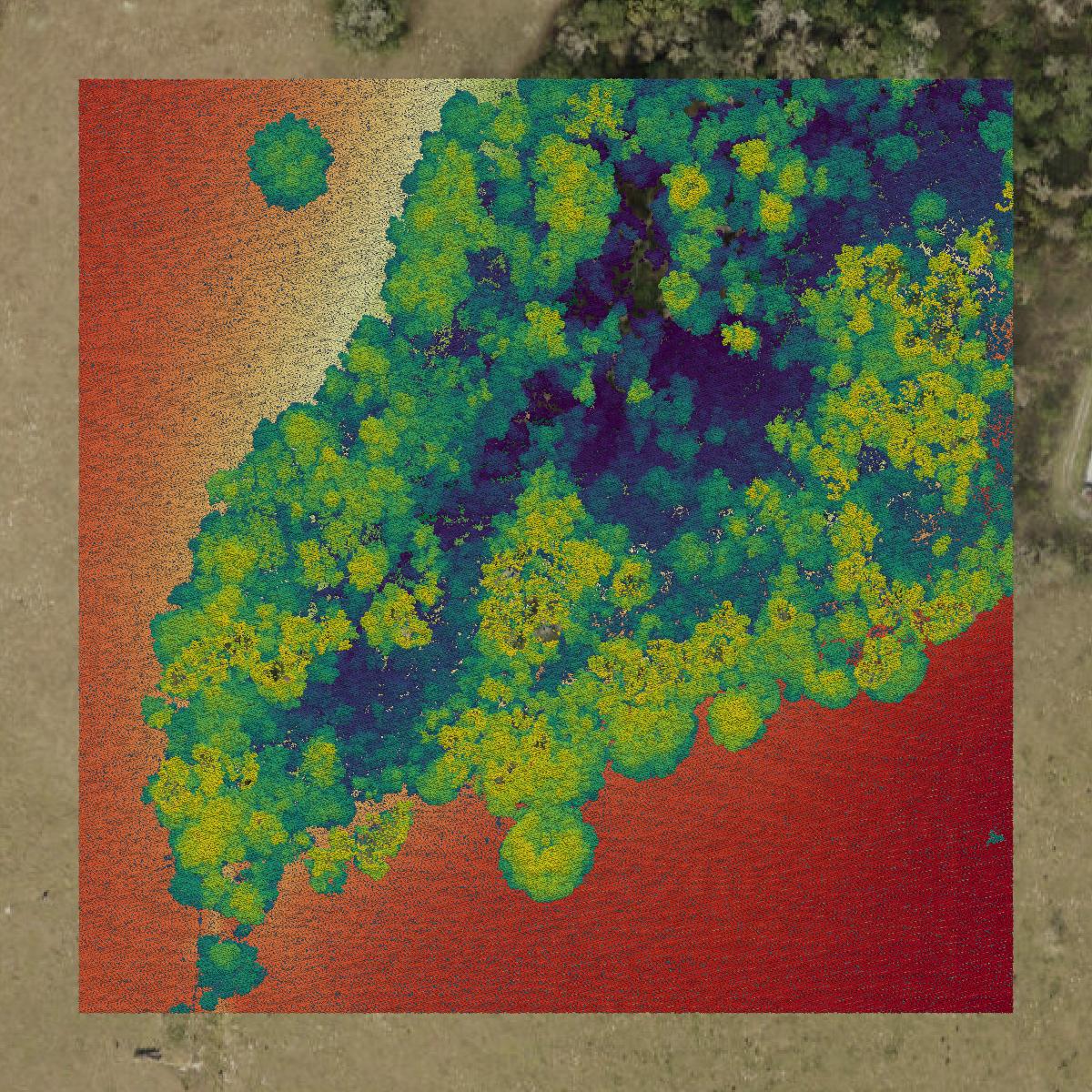 This image shows a LiDAR point cloud in Hernando County created using GIS data in Equator.